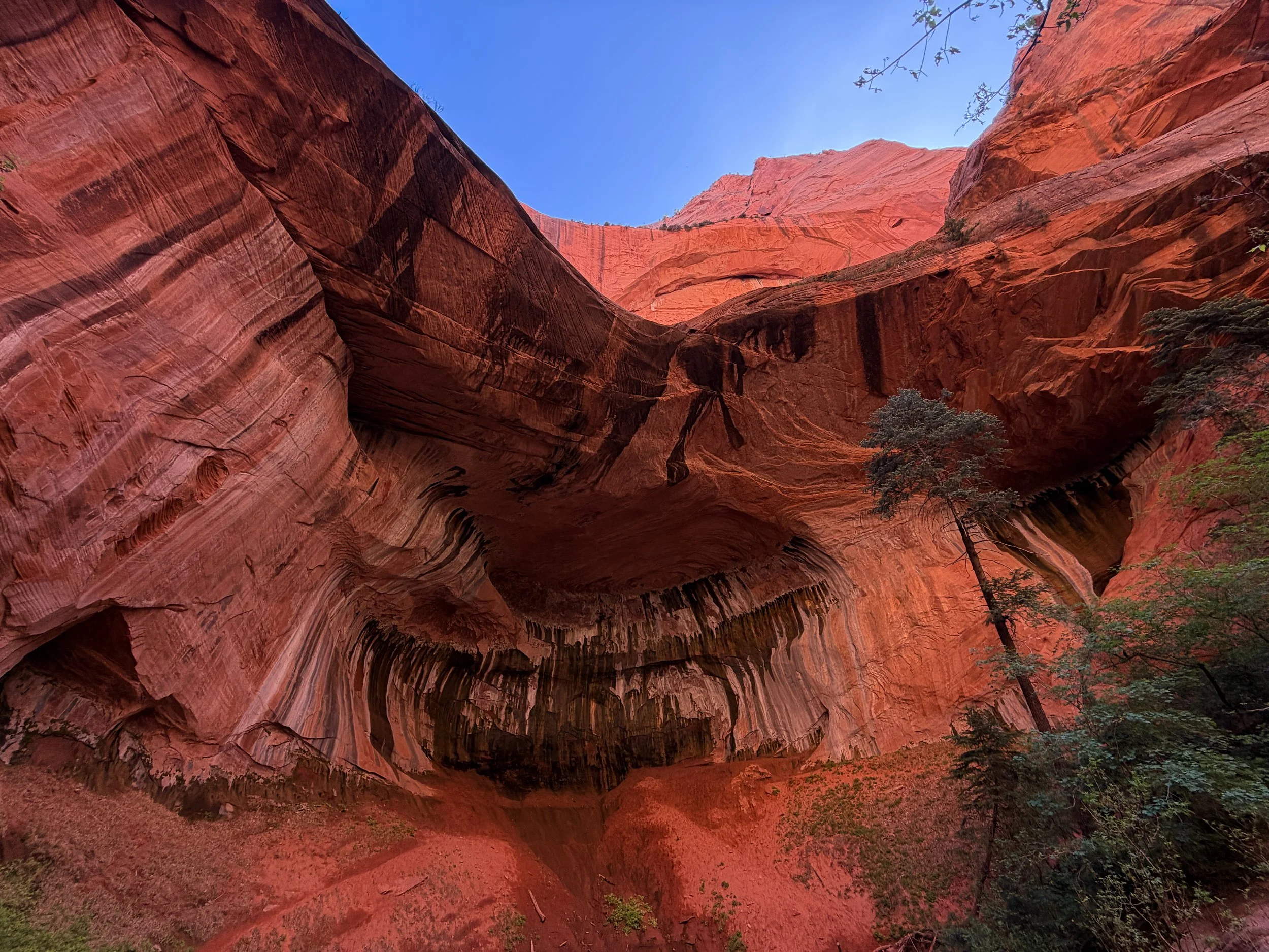 Double Arch Alcove Taylor Creek Trail Zion National Park Utah