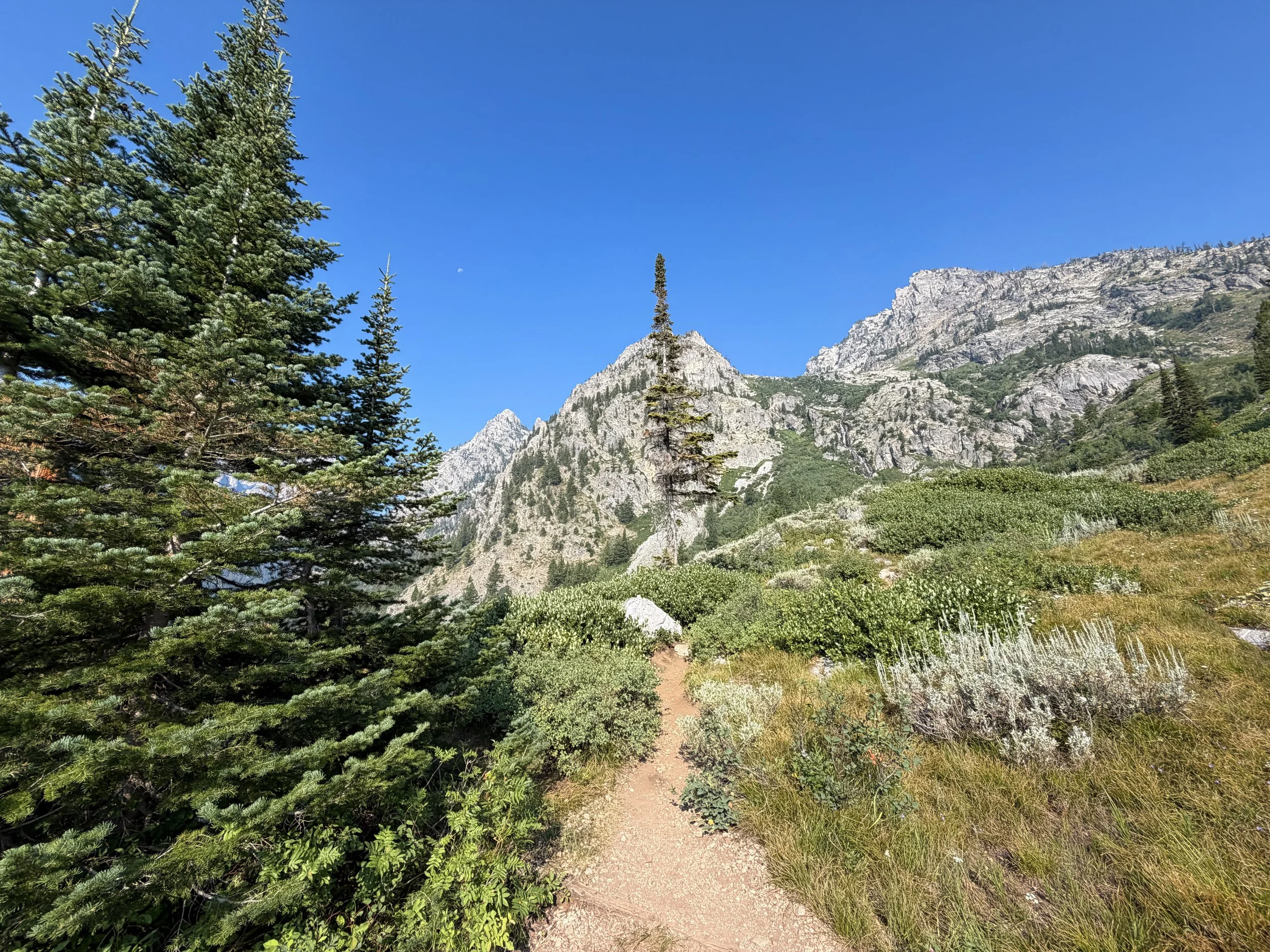 Lake of the Crags Trail Grand Teton National Park Wyoming