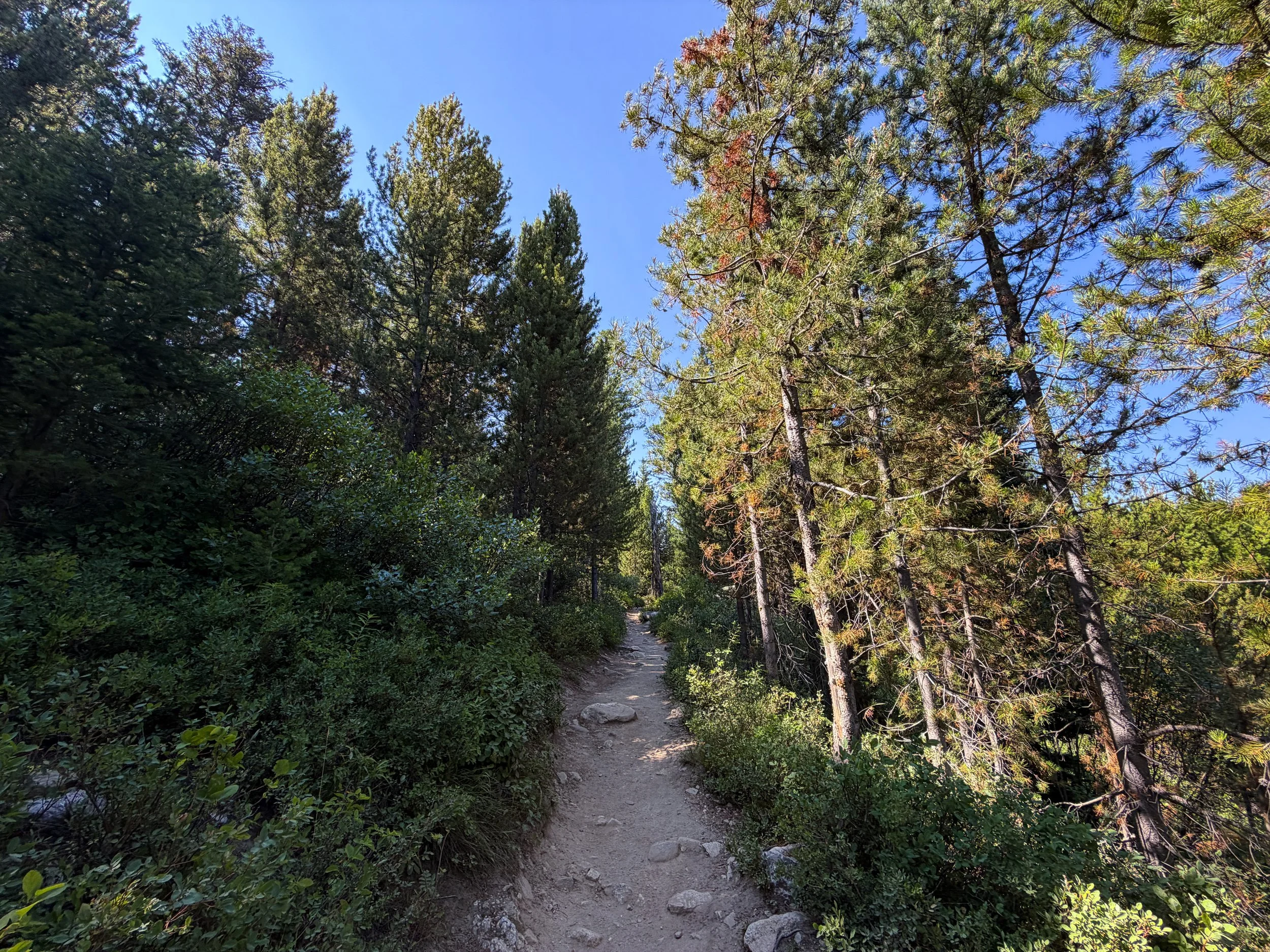 Jenny Lake Loop Trail Grand Teton National Park Wyoming