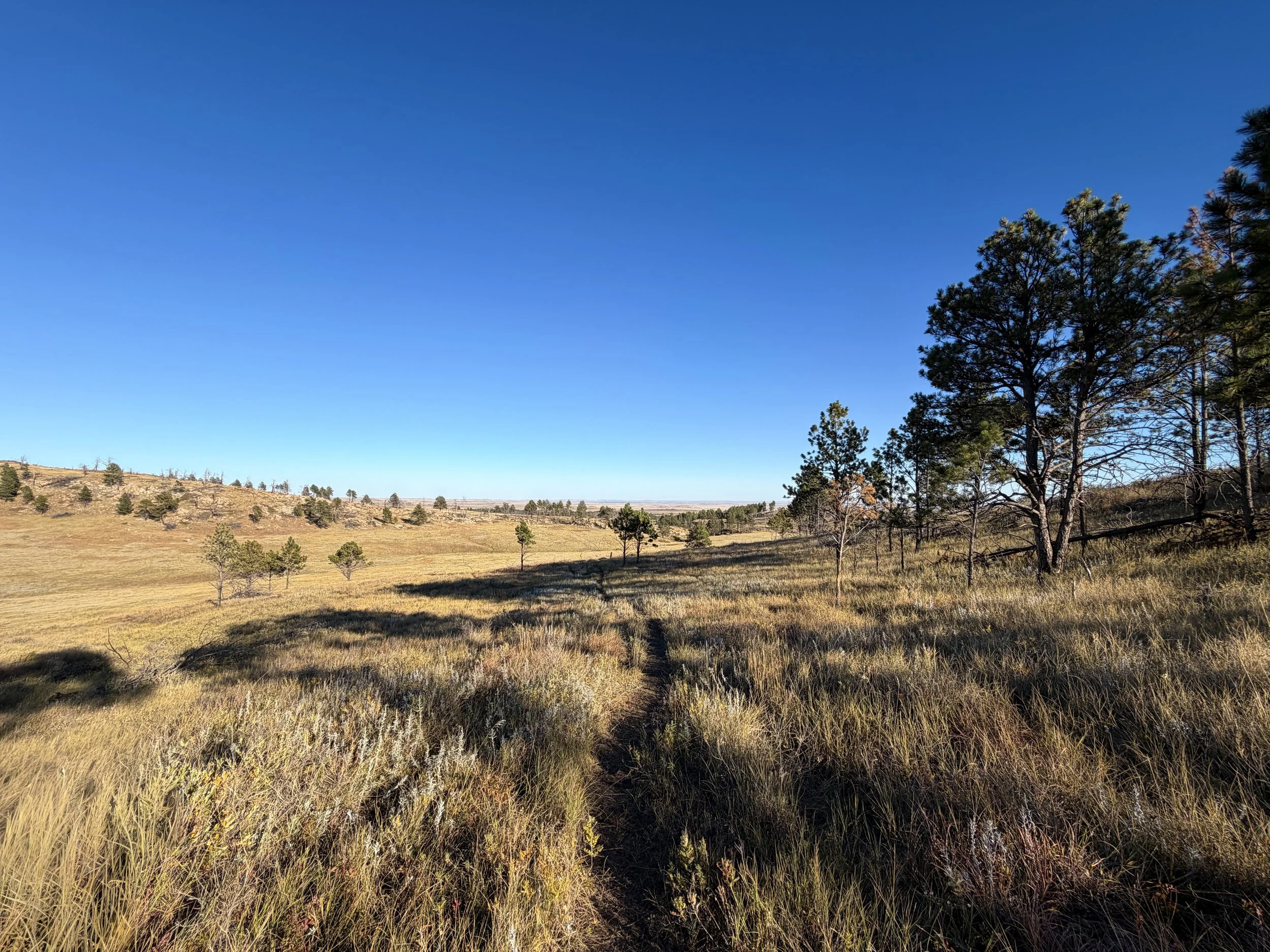 Boland Ridge Trail Wind Cave National Park South Dakota