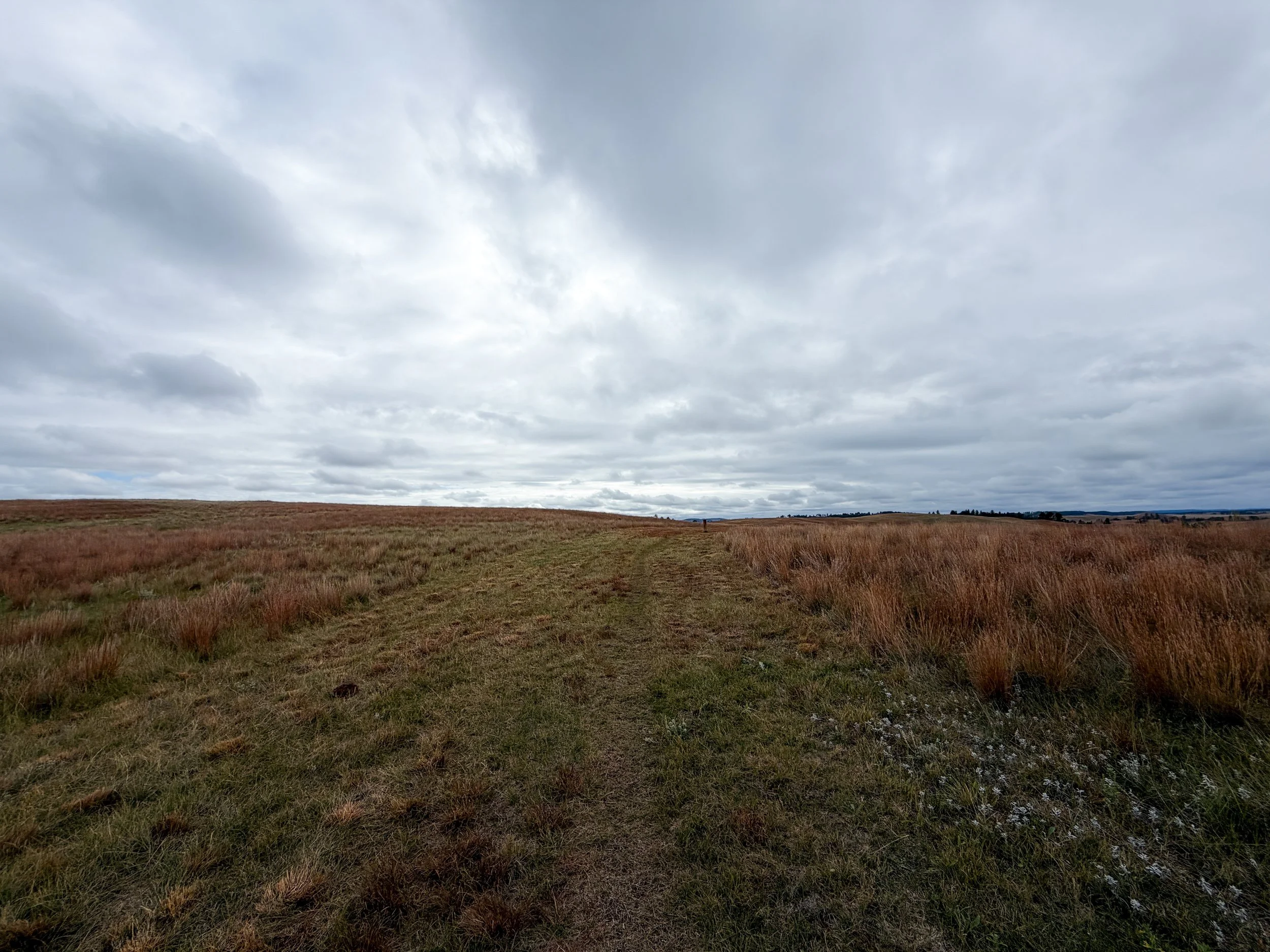 Highland Creek Trail Wind Cave National Park South Dakota