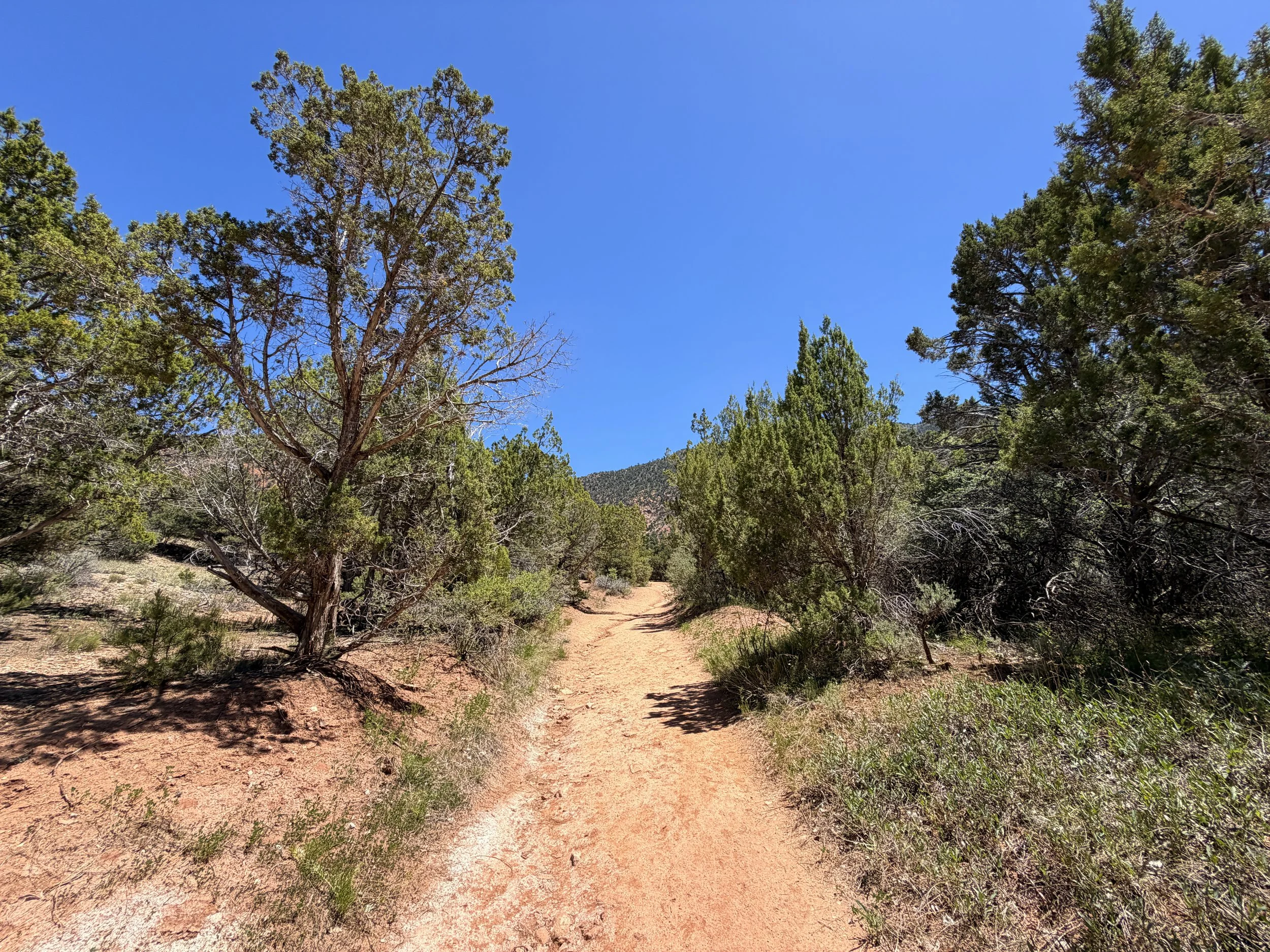 Kanarra Falls Hike Kanarraville Utah
