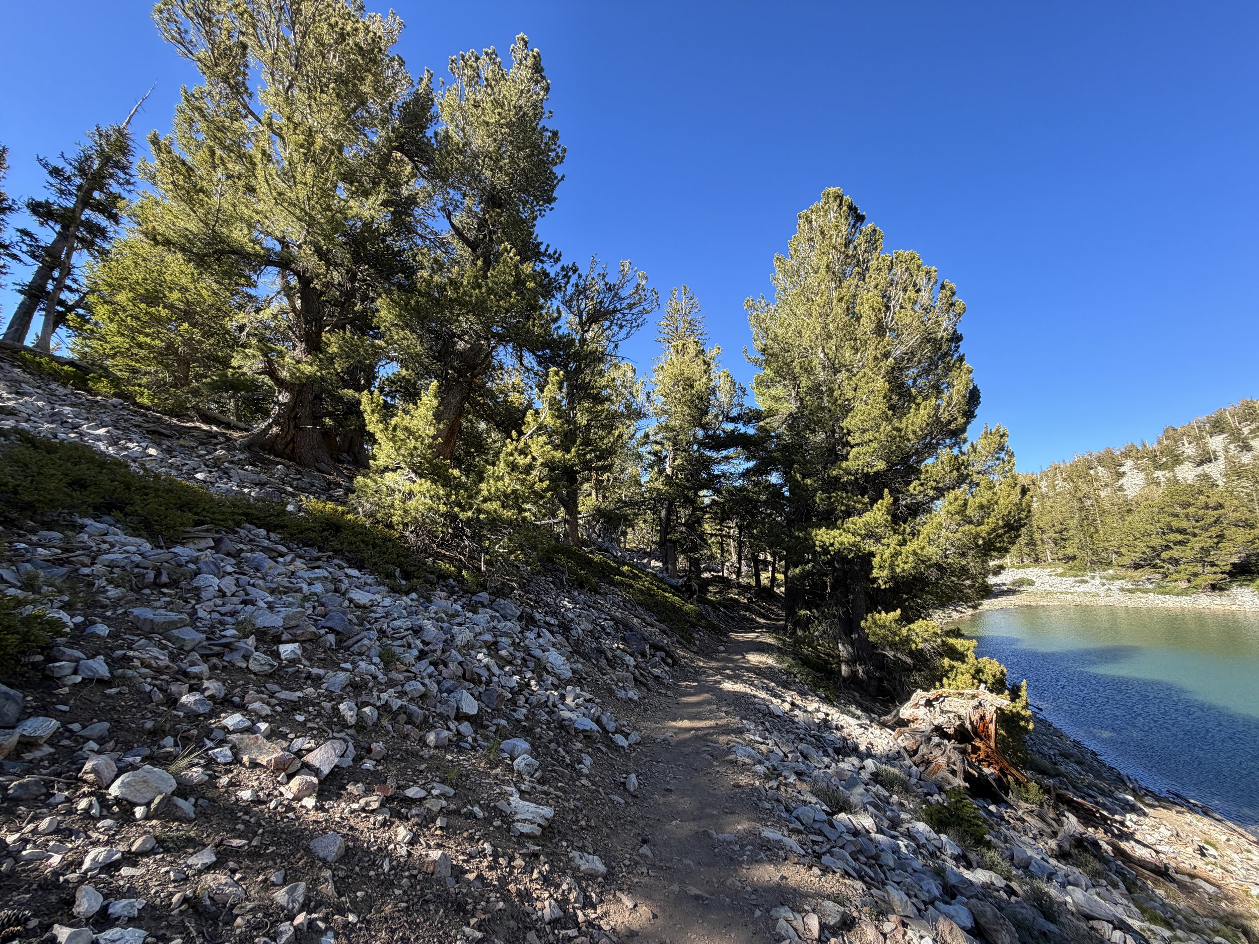 Alpine Lakes Loop Trail Great Basin National Park Nevada