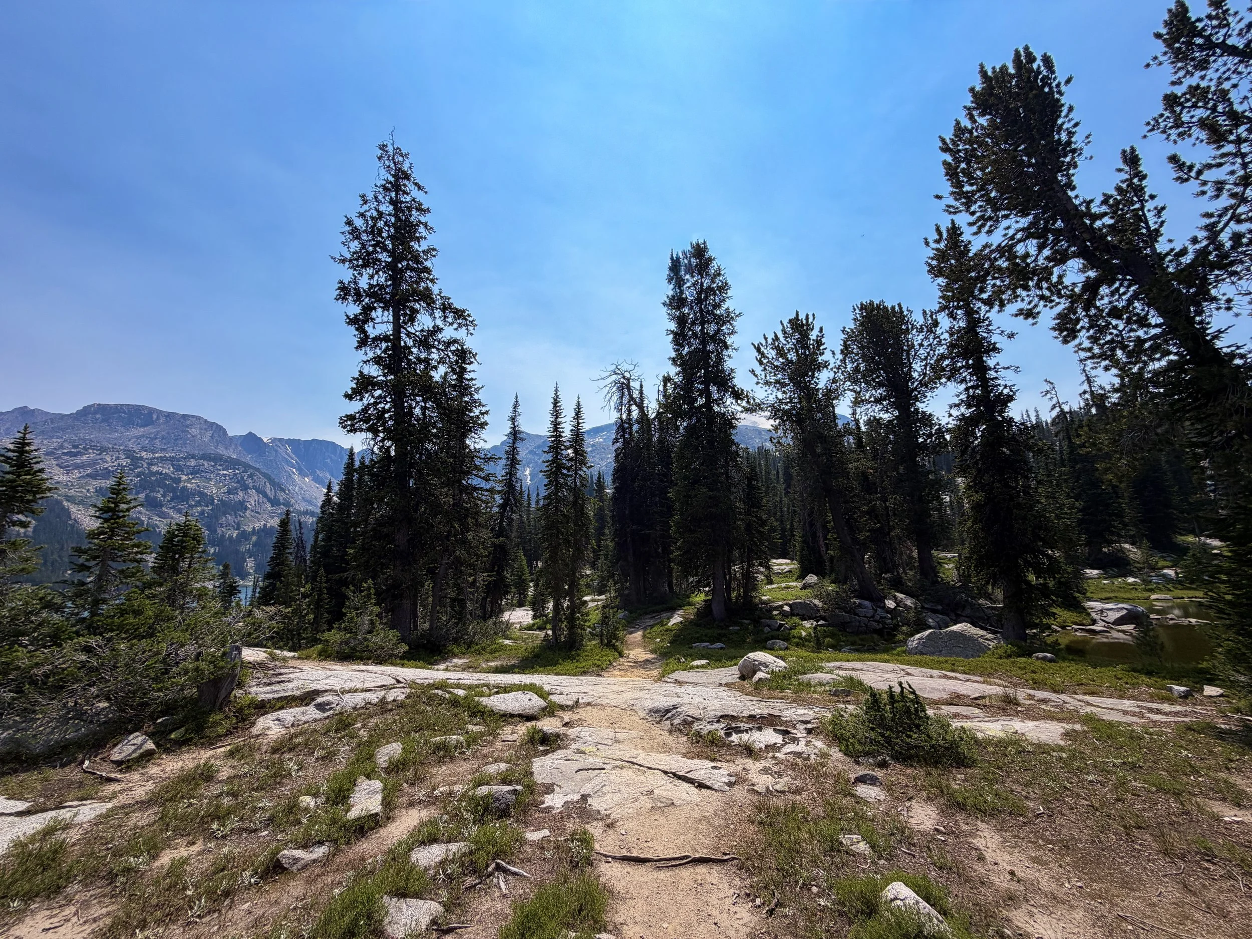 The Beaten Path Trail Beartooth Mountains Montana