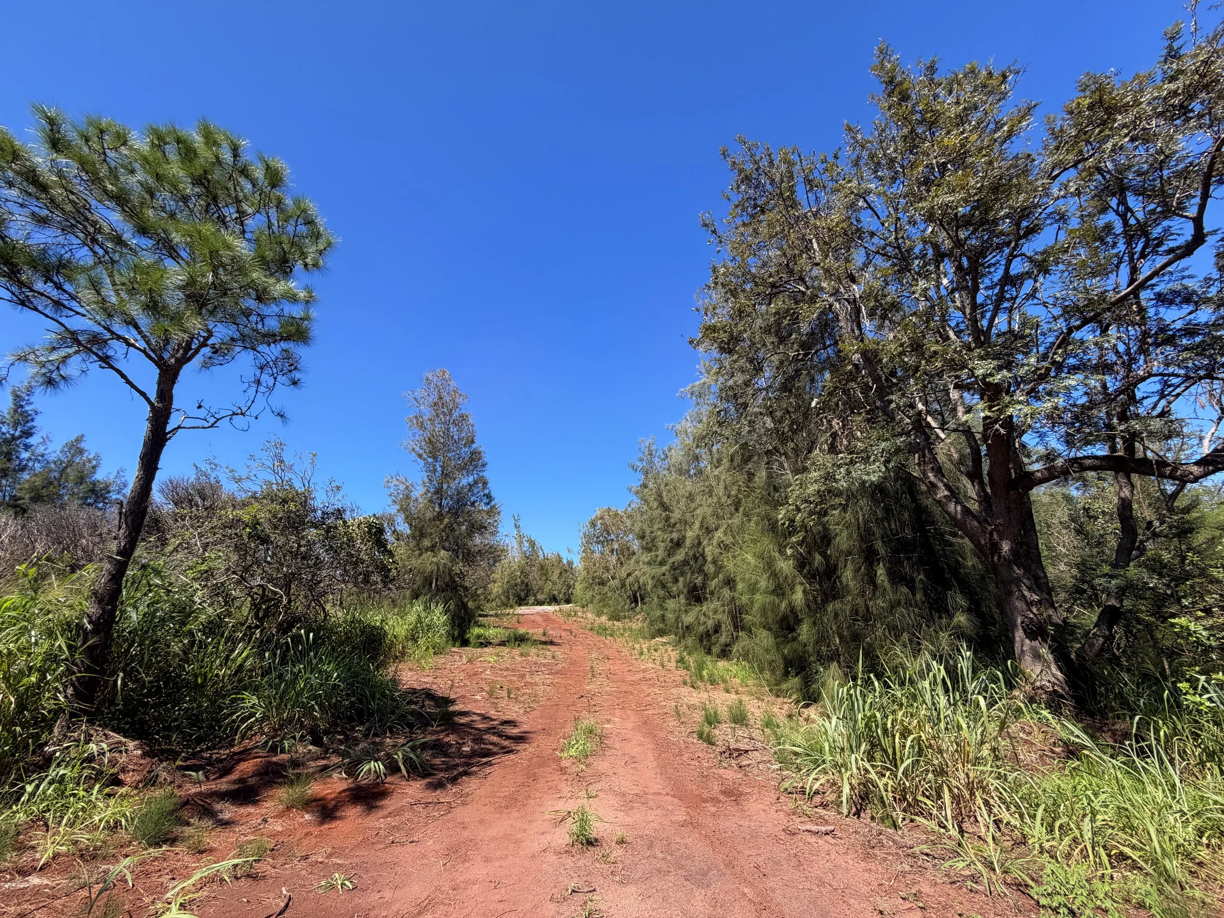 Kuaokala Trail Oahu Hawaii