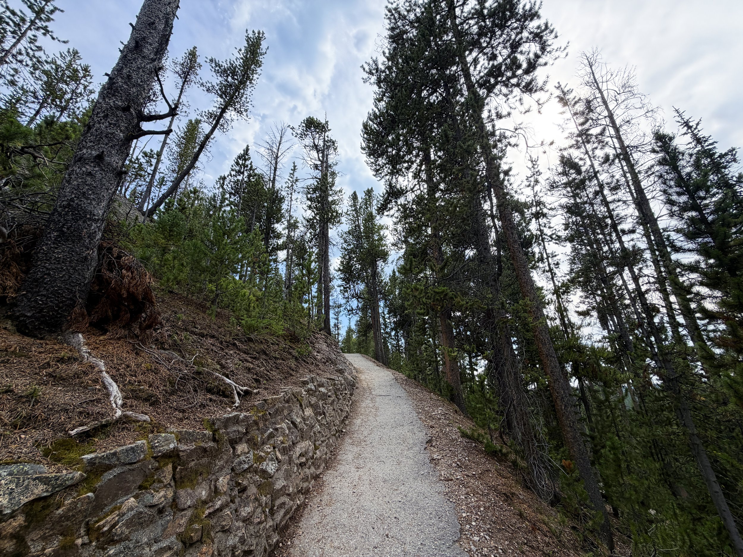 South Rim Trail Yellowstone National Park Wyoming