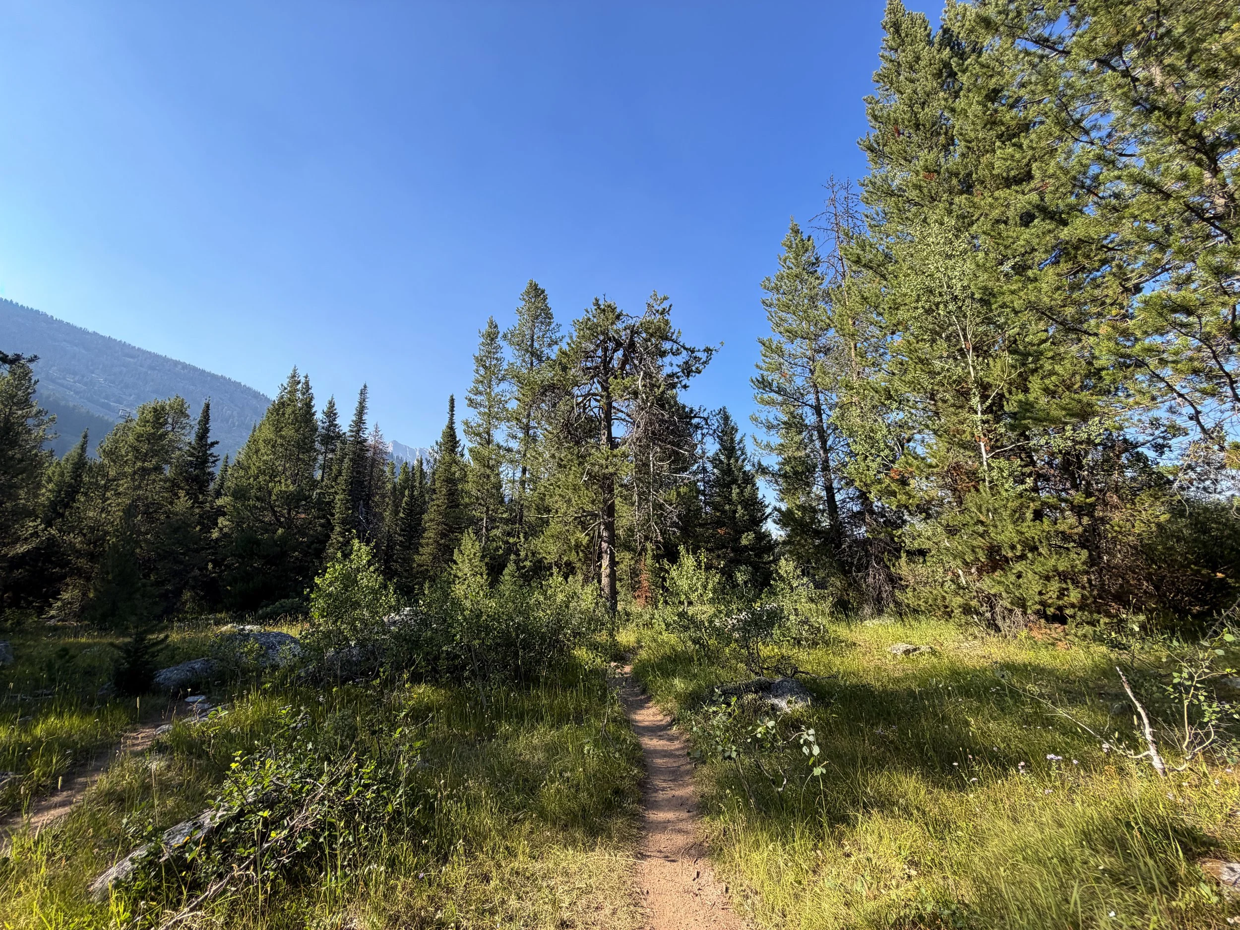 Moose Ponds Trail Grand Teton National Park Wyoming