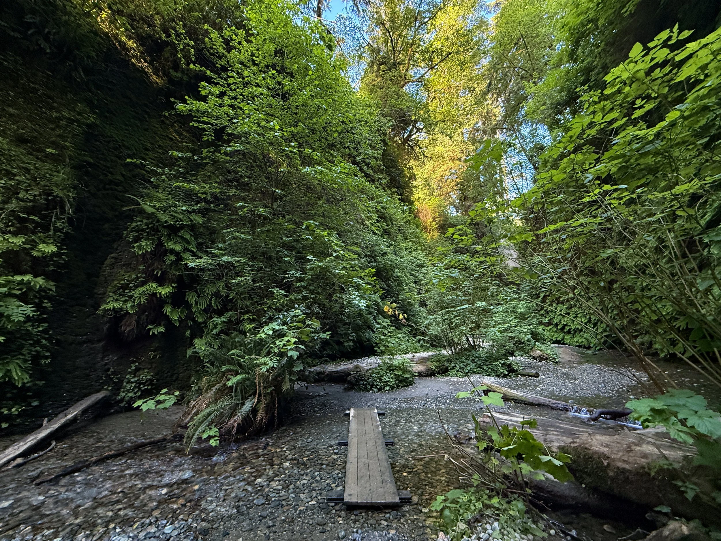 Fern Canyon Trail Prairie Creek Redwoods State Park California