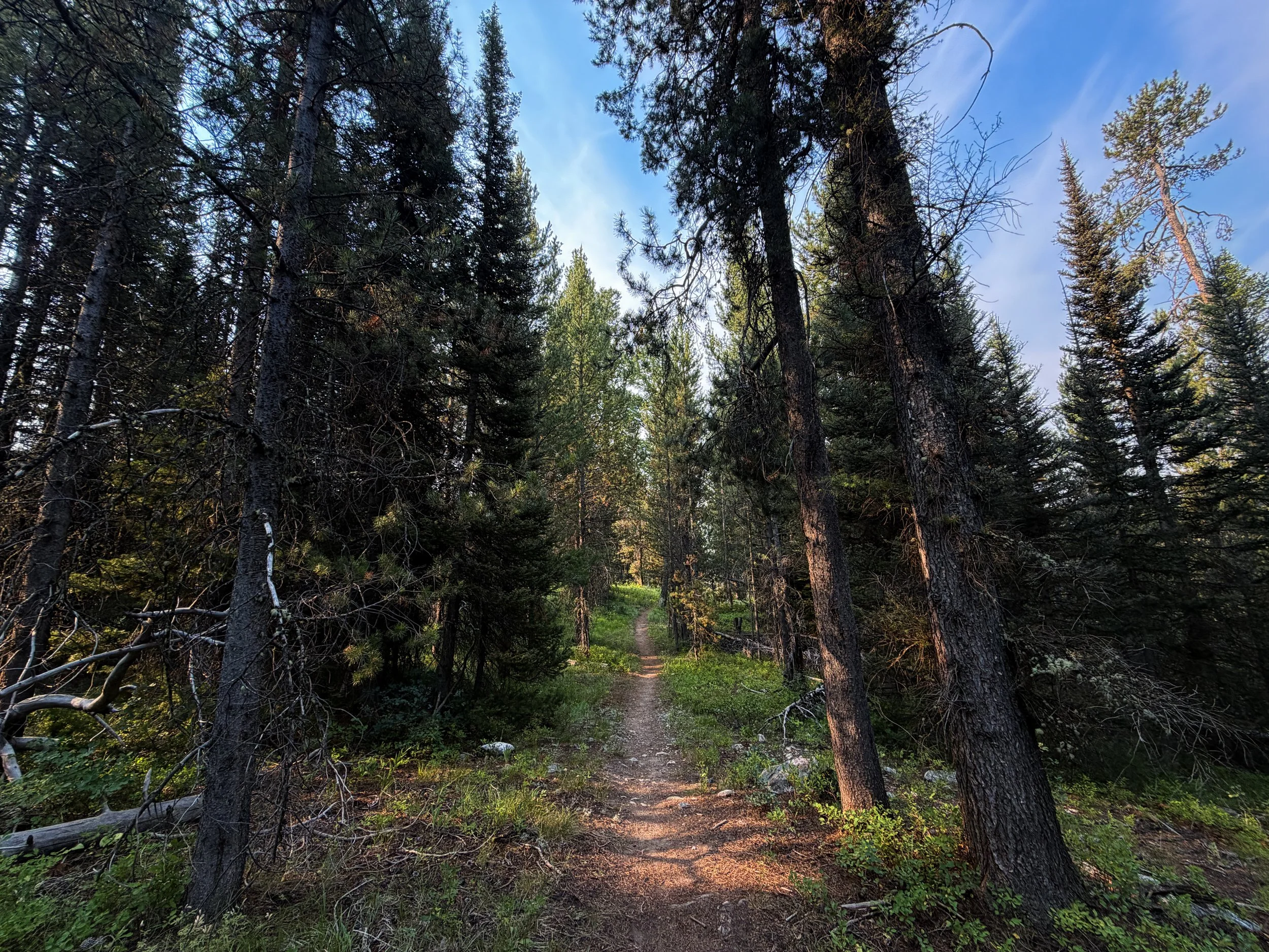 Aspen Boulder Ridge Loop Trail Grand Teton National Park Wyoming