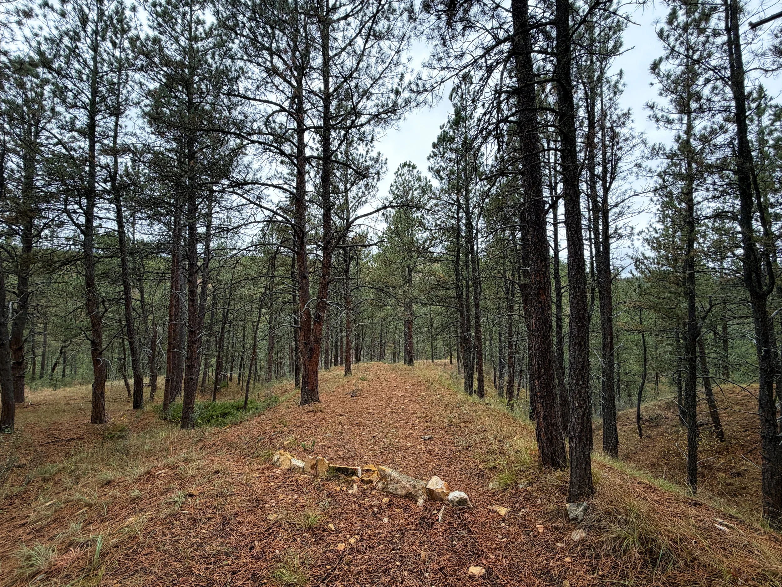 Highland Creek Trail Wind Cave National Park South Dakota