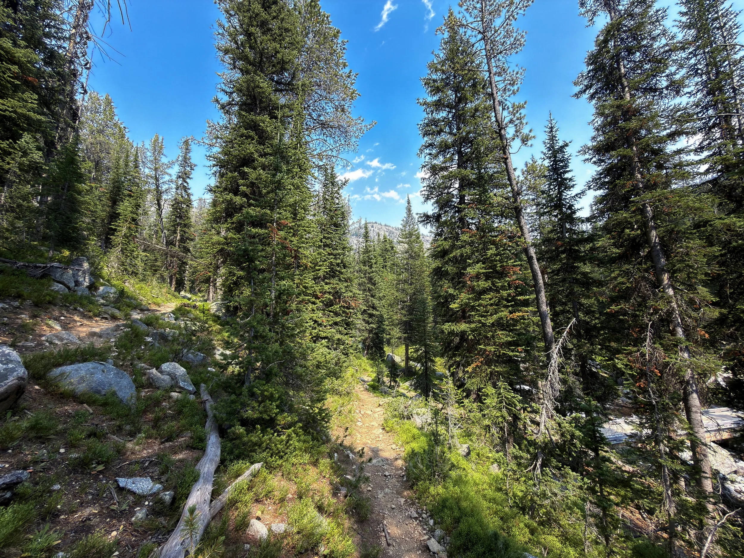 Russell Creek Trail The Beaten Path Beartooth Mountains Montana