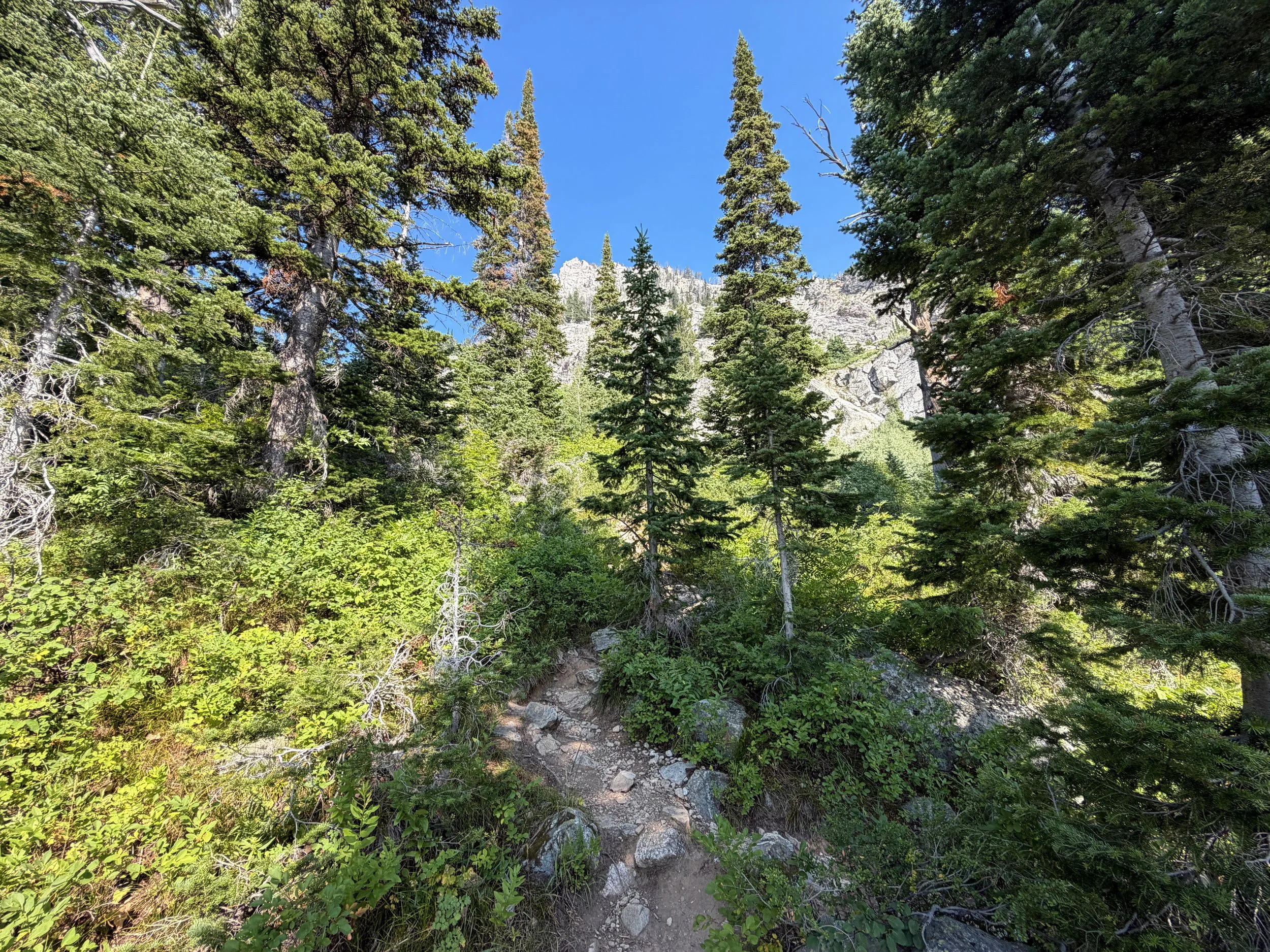 Lake of the Crags Trail via Jenny Lake Grand Teton National Park Wyoming