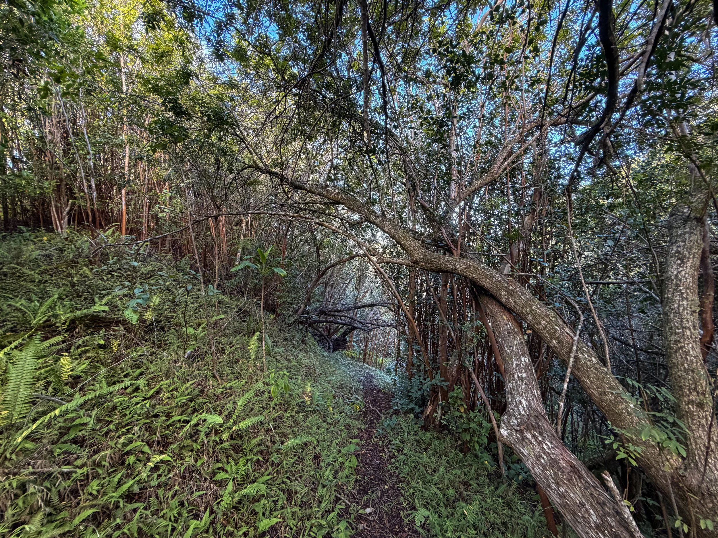 Mokuleia Hike Oahu Hawaii