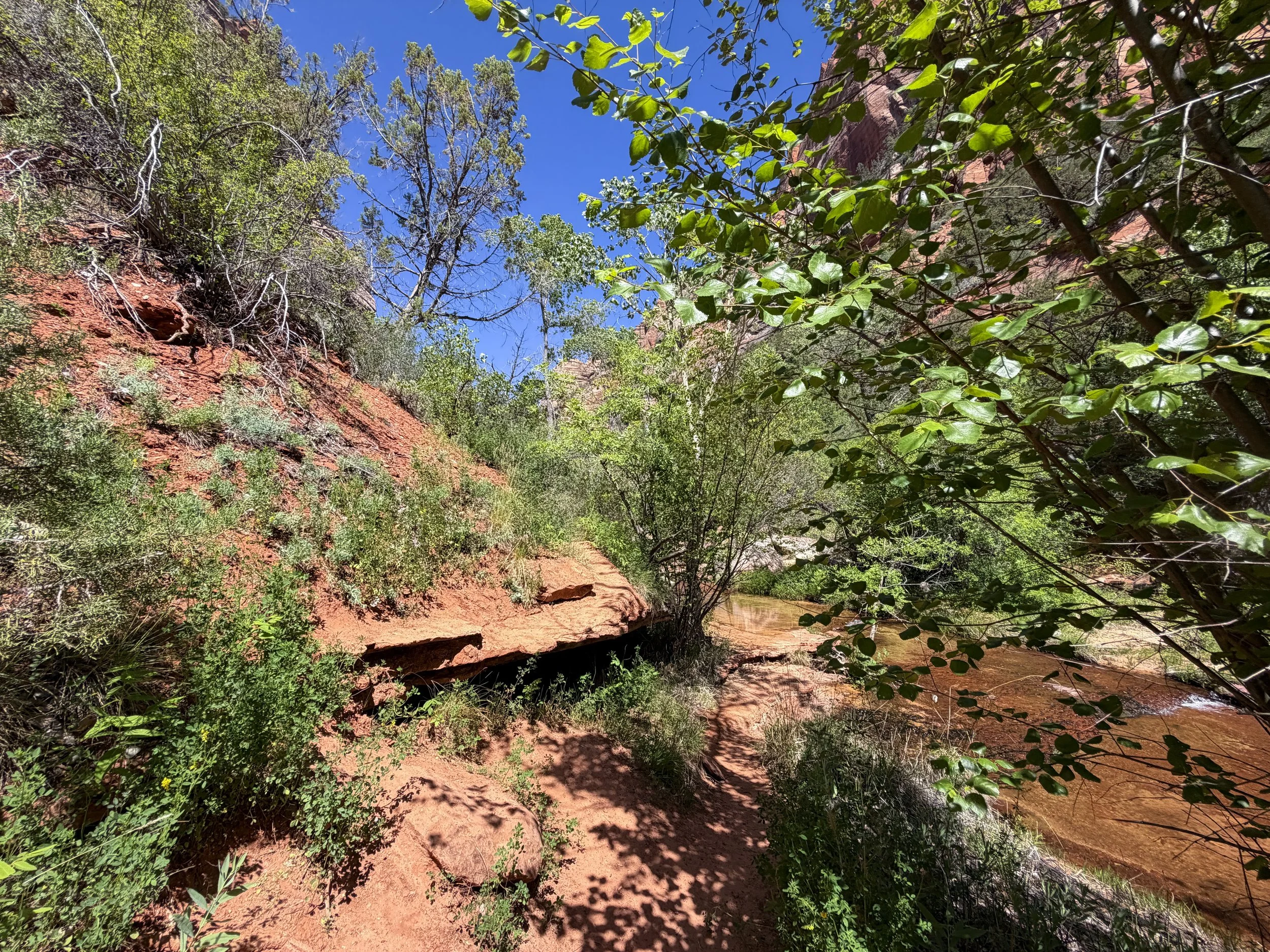Subway Trail Zion National Park Utah