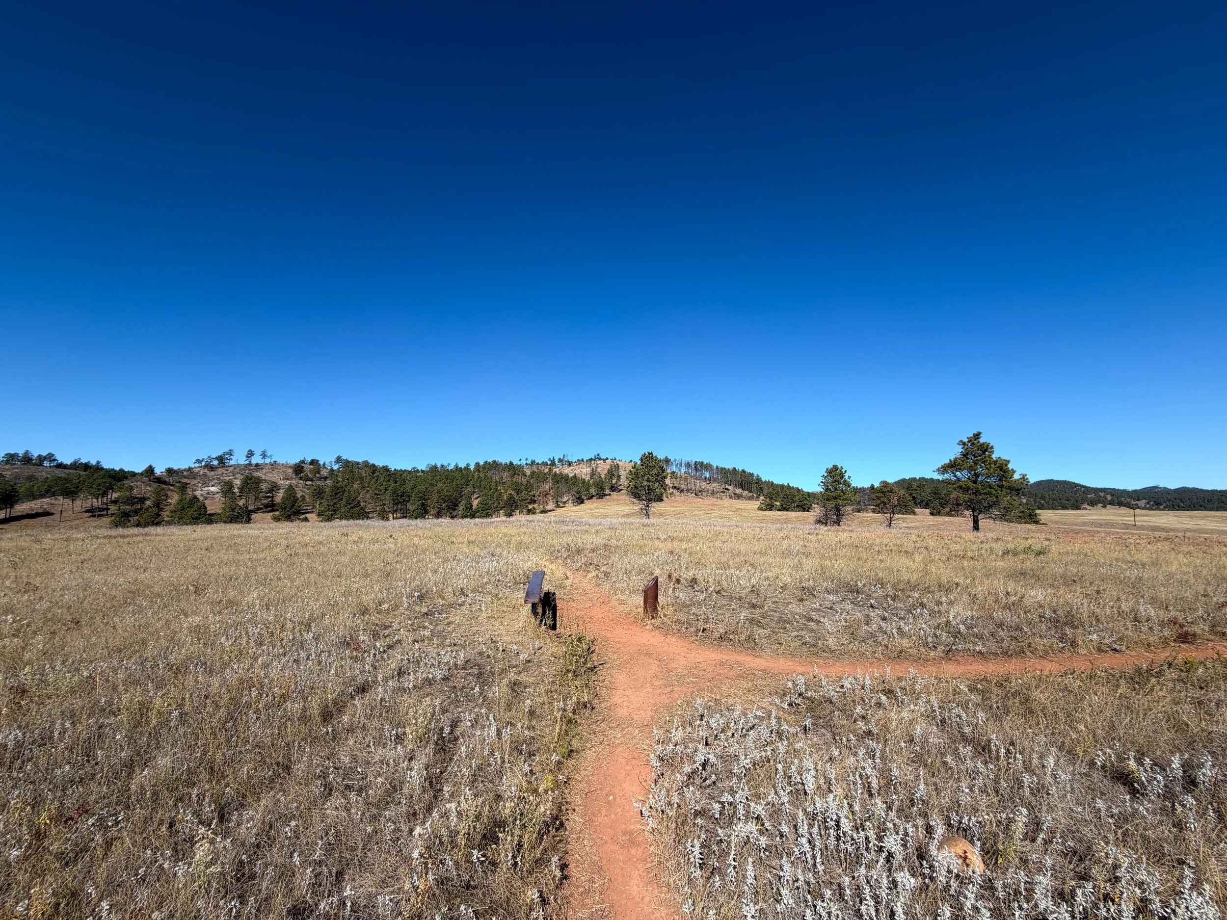 Elk Mountain Loop Trail Wind Cave National Park South Dakota