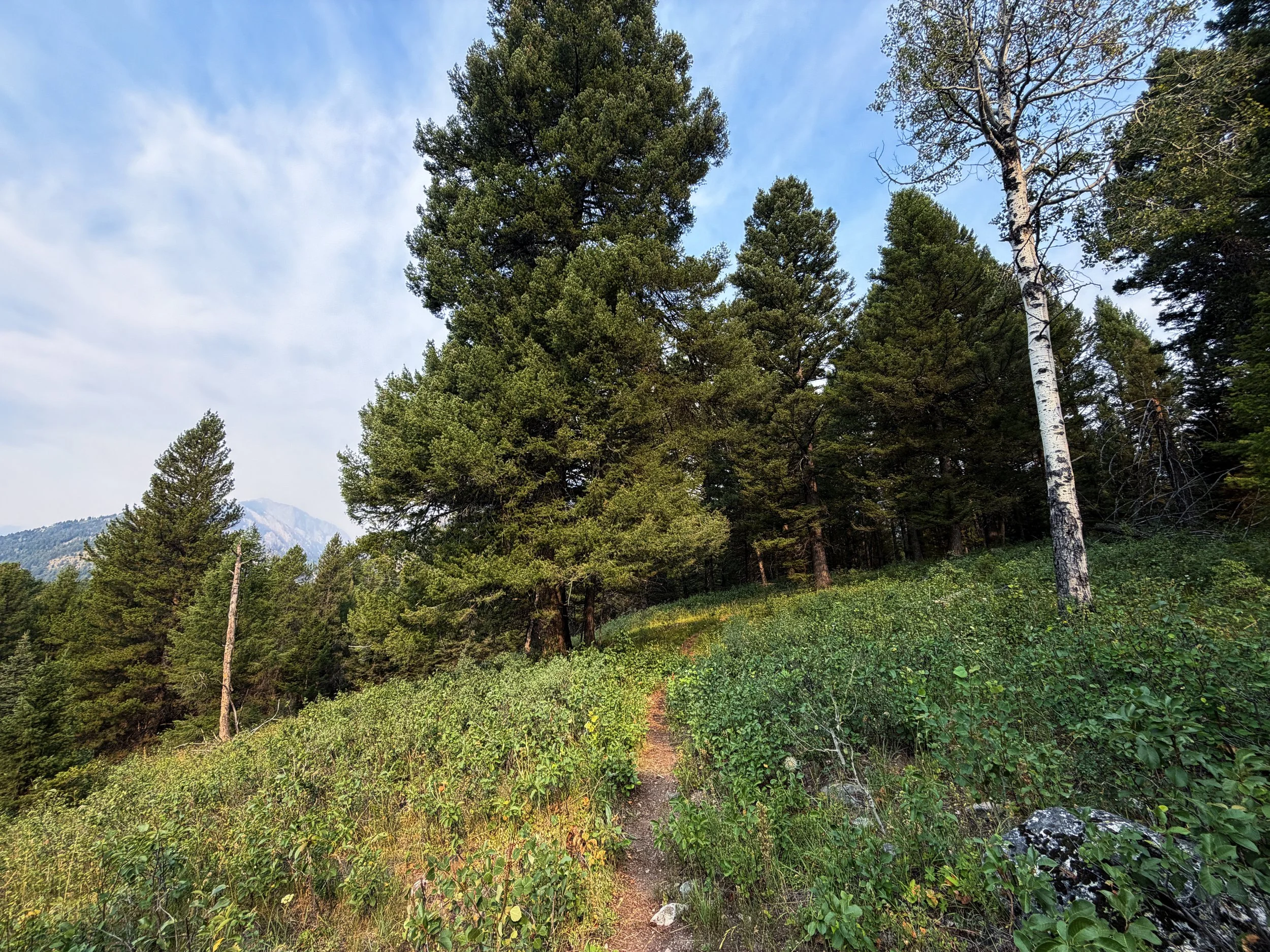 Boulder Aspen Ridge Loop Trail Grand Teton National Park Wyoming