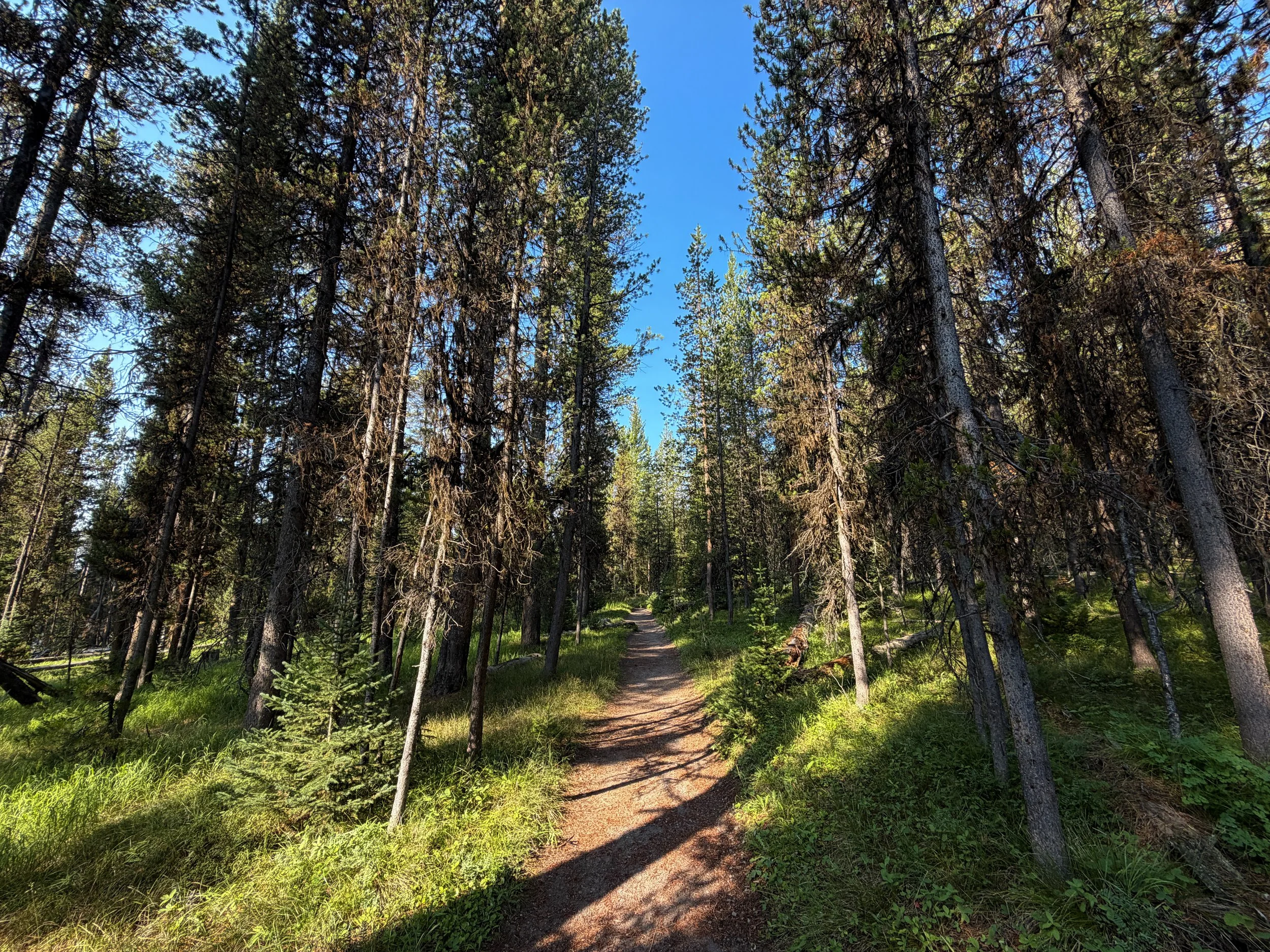Natural Bridge Trail Yellowstone National Park Wyoming