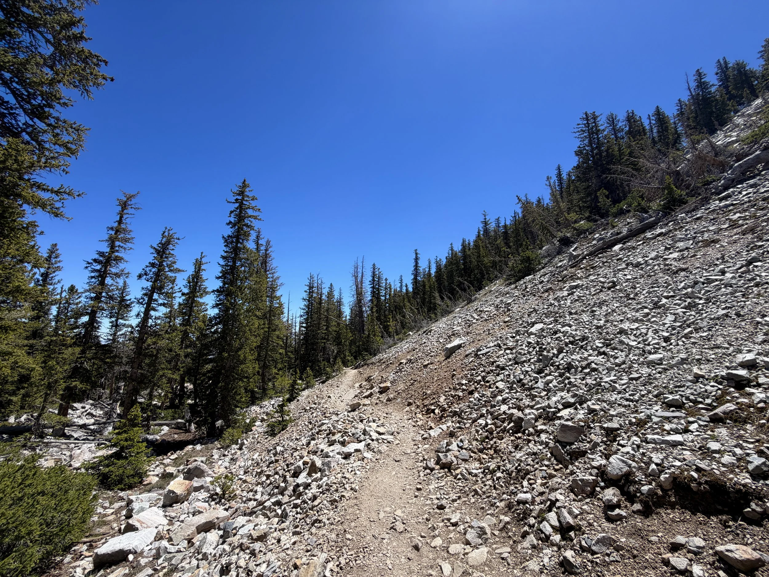 Bristlecone Pine Trail Great Basin National Park Nevada