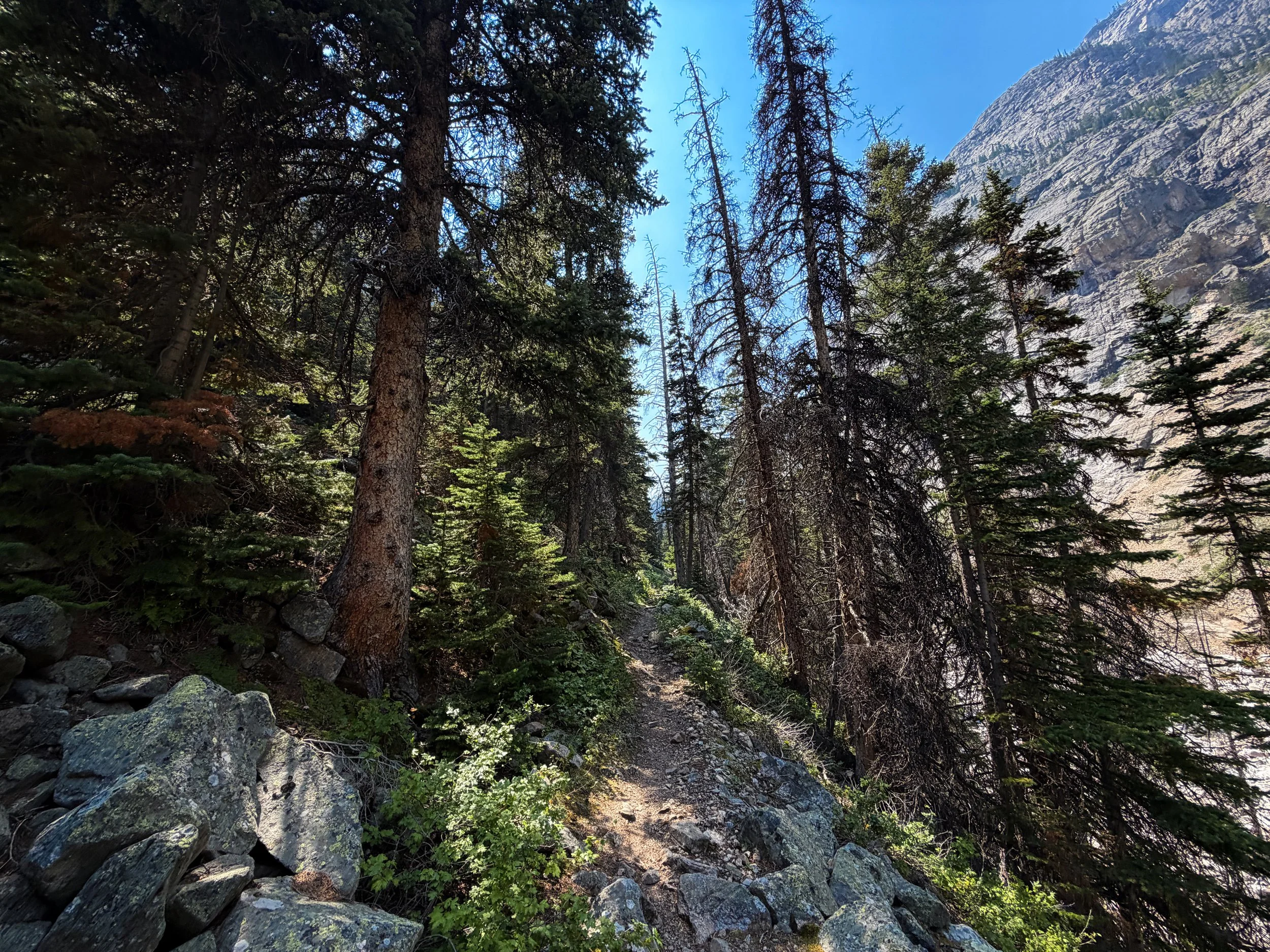 East Rosebud Trail Beaten Path Beartooth Mountains Montana