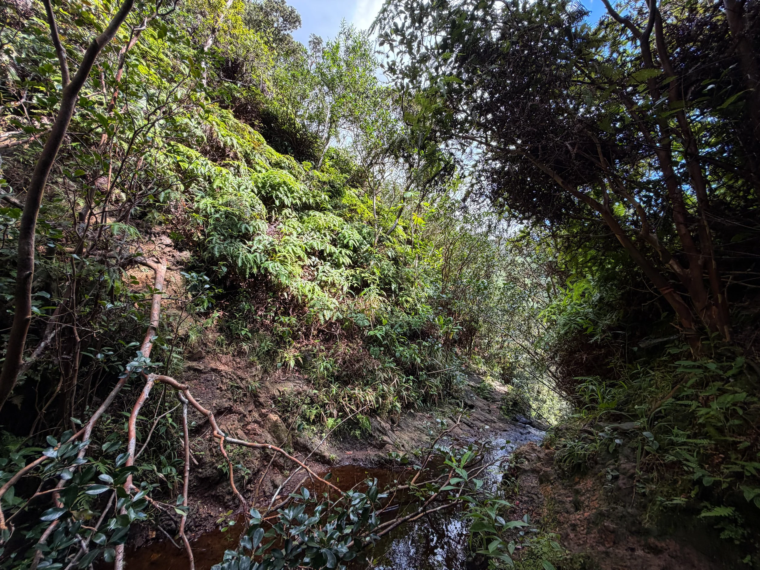 Top of Third Waterfall Kaau Crater Trail Oahu Hawaii