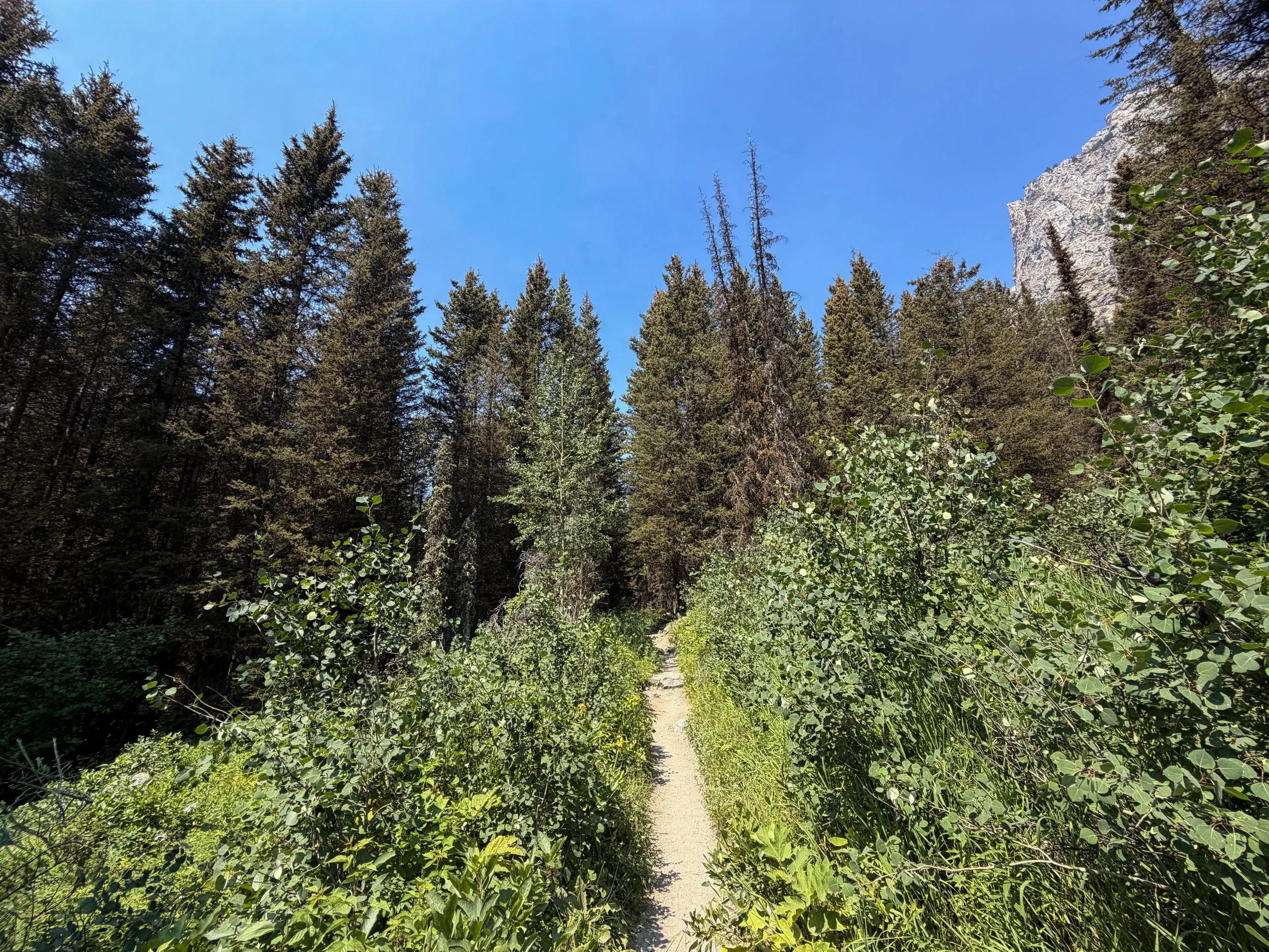 Cascade Canyon Trail Grand Teton National Park Wyoming