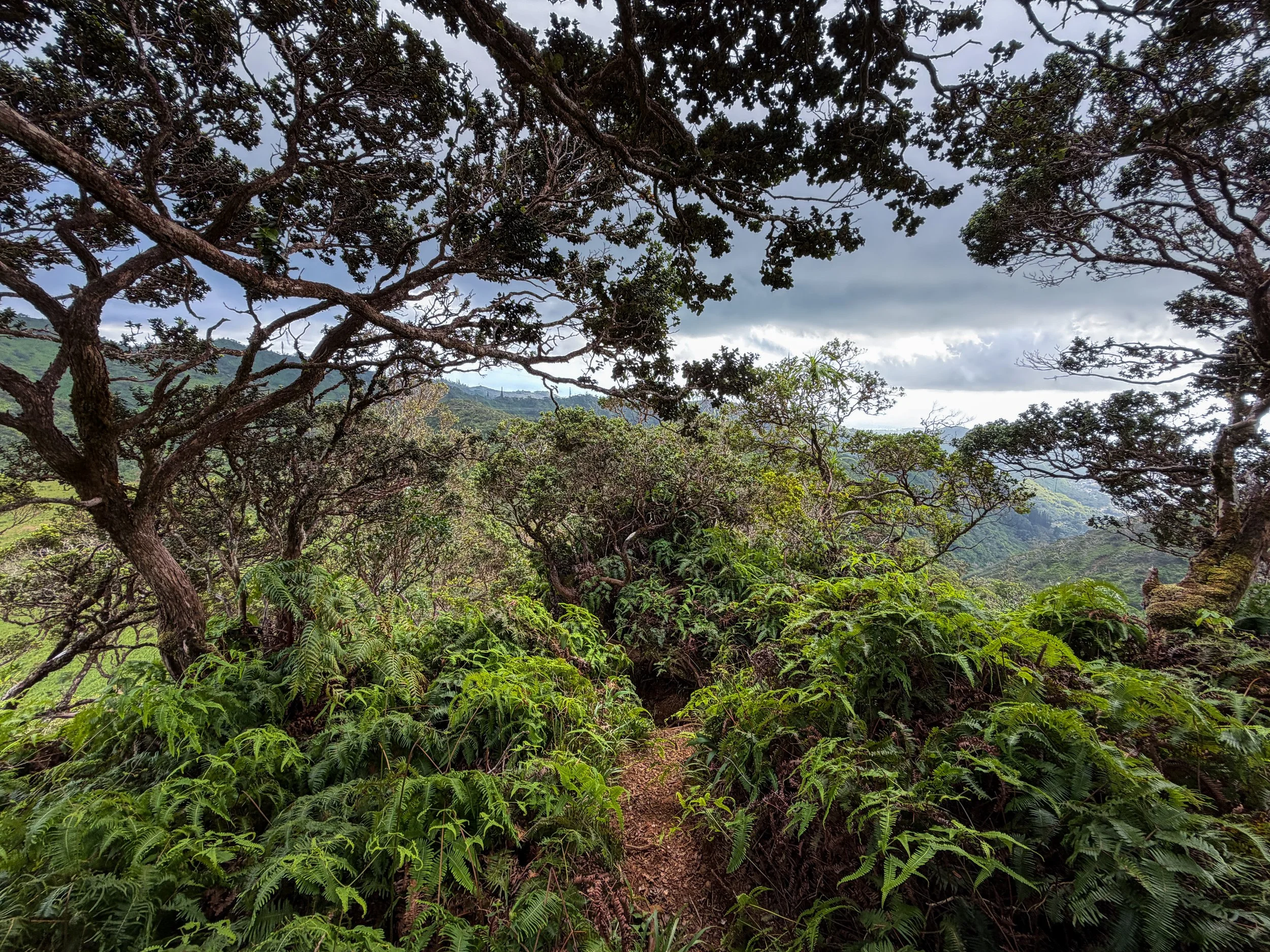 Kaau Crater Hike Oahu Hawaii