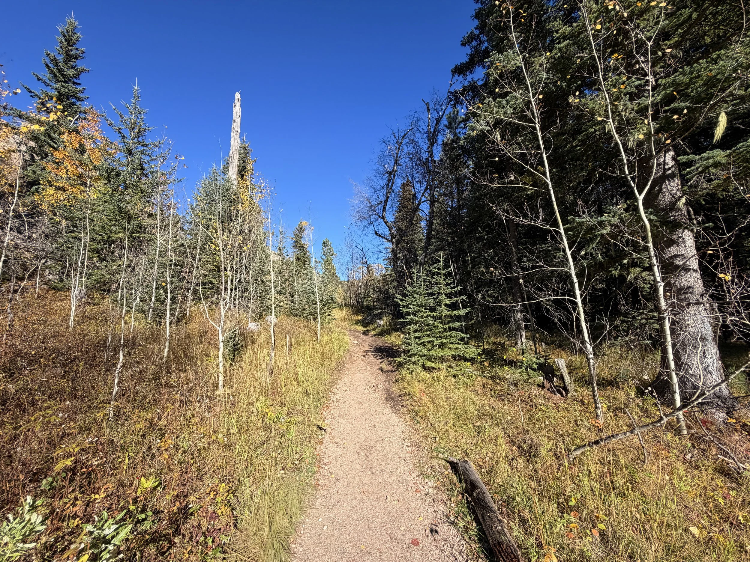 Little Devils Tower Trail Custer State Park Black Hills South Dakota