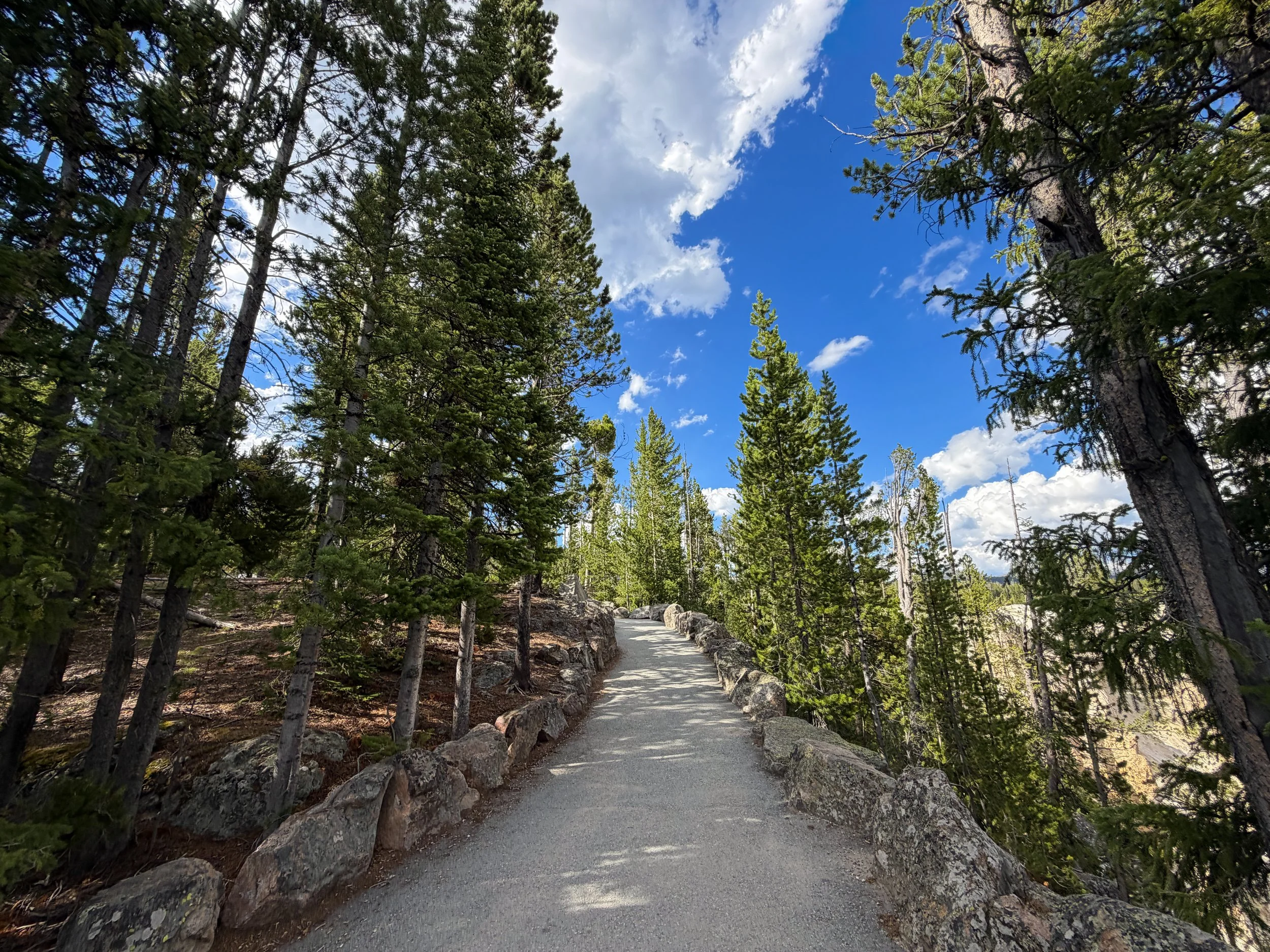 North Rim Trail Yellowstone National Park Wyoming