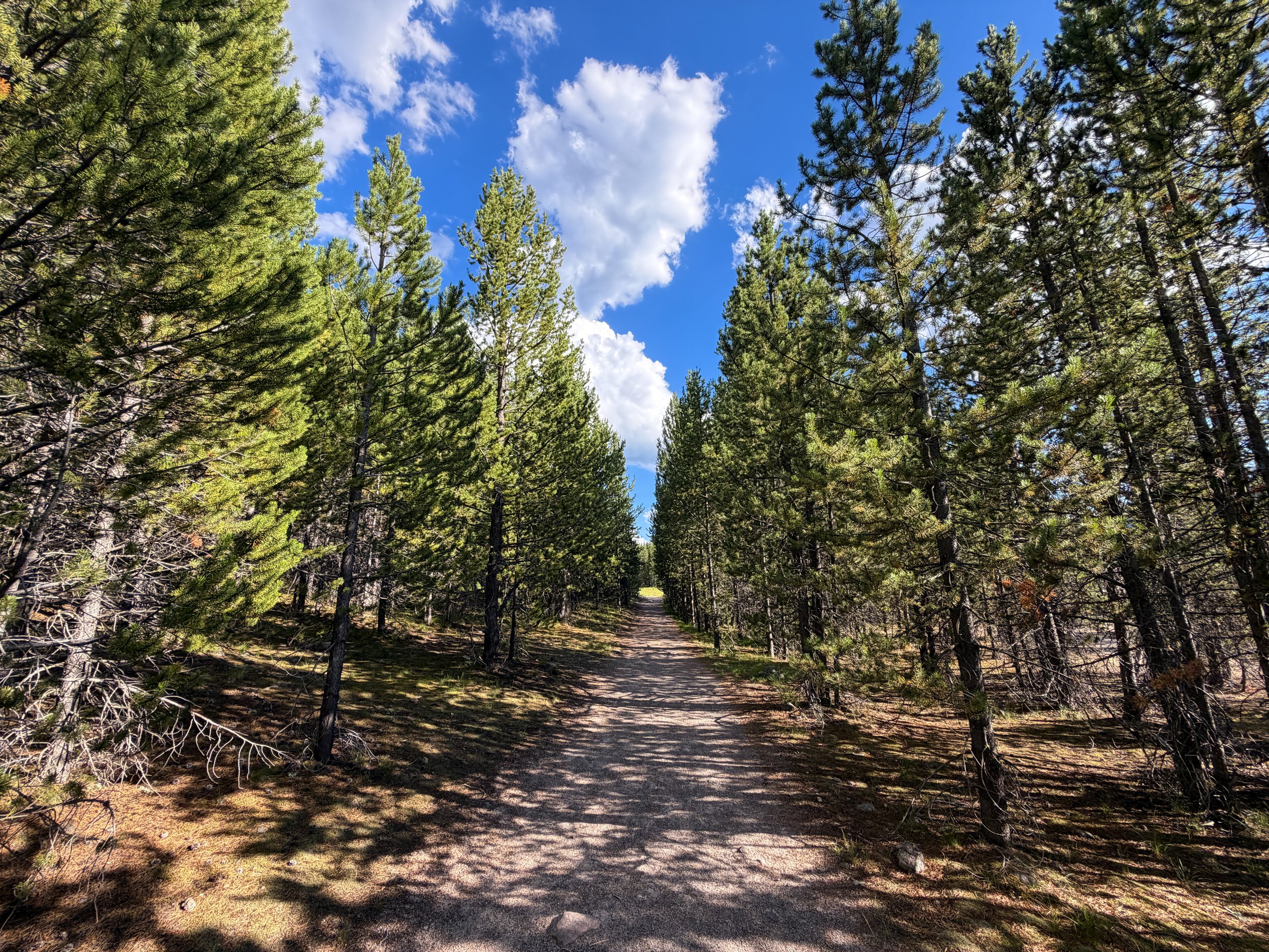 Artemisia Trail to the Morning Glory Pool Yellowstone National Park Wyoming