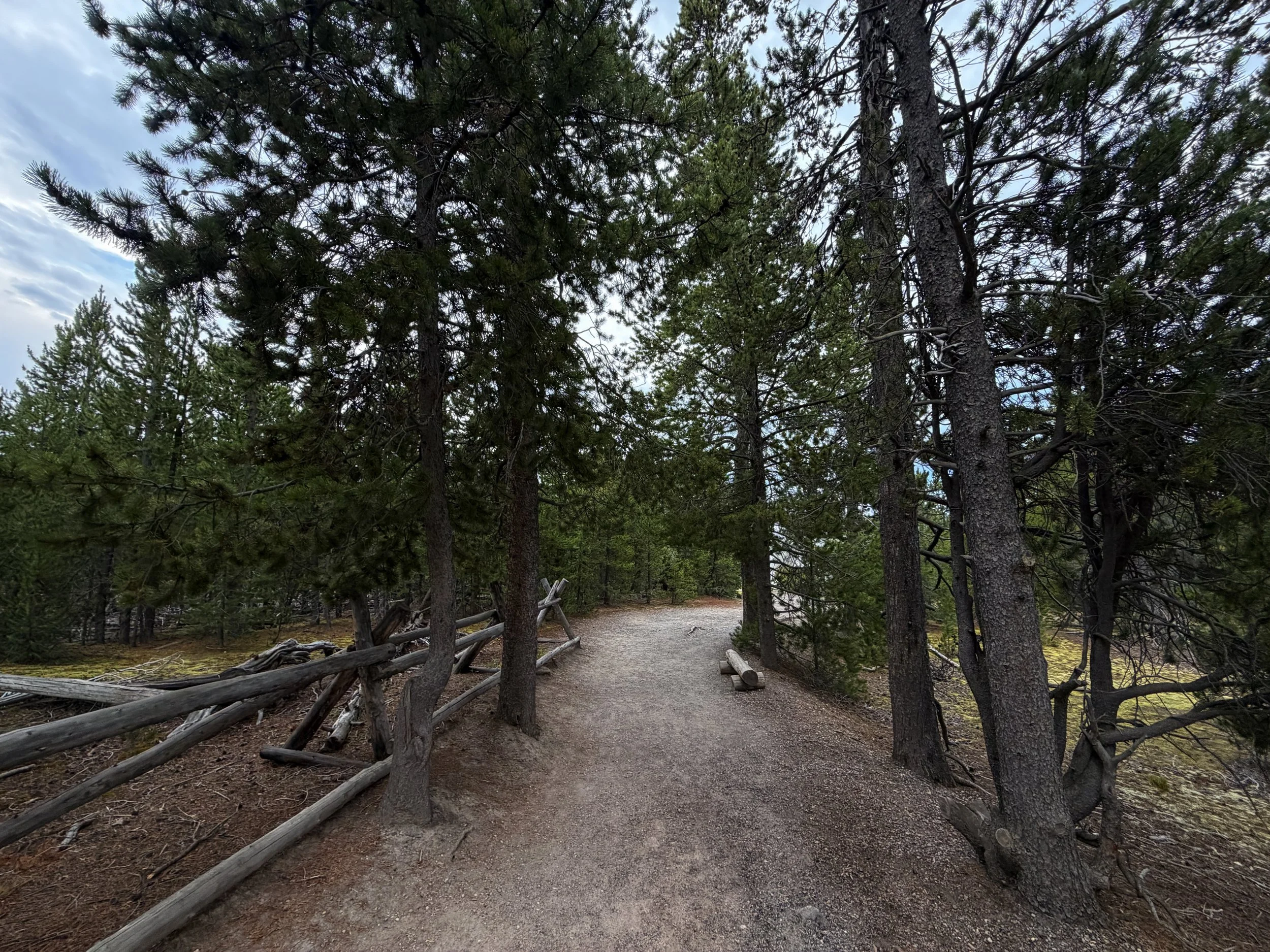Norris Geyser Basin Trail Yellowstone National Park Wyoming