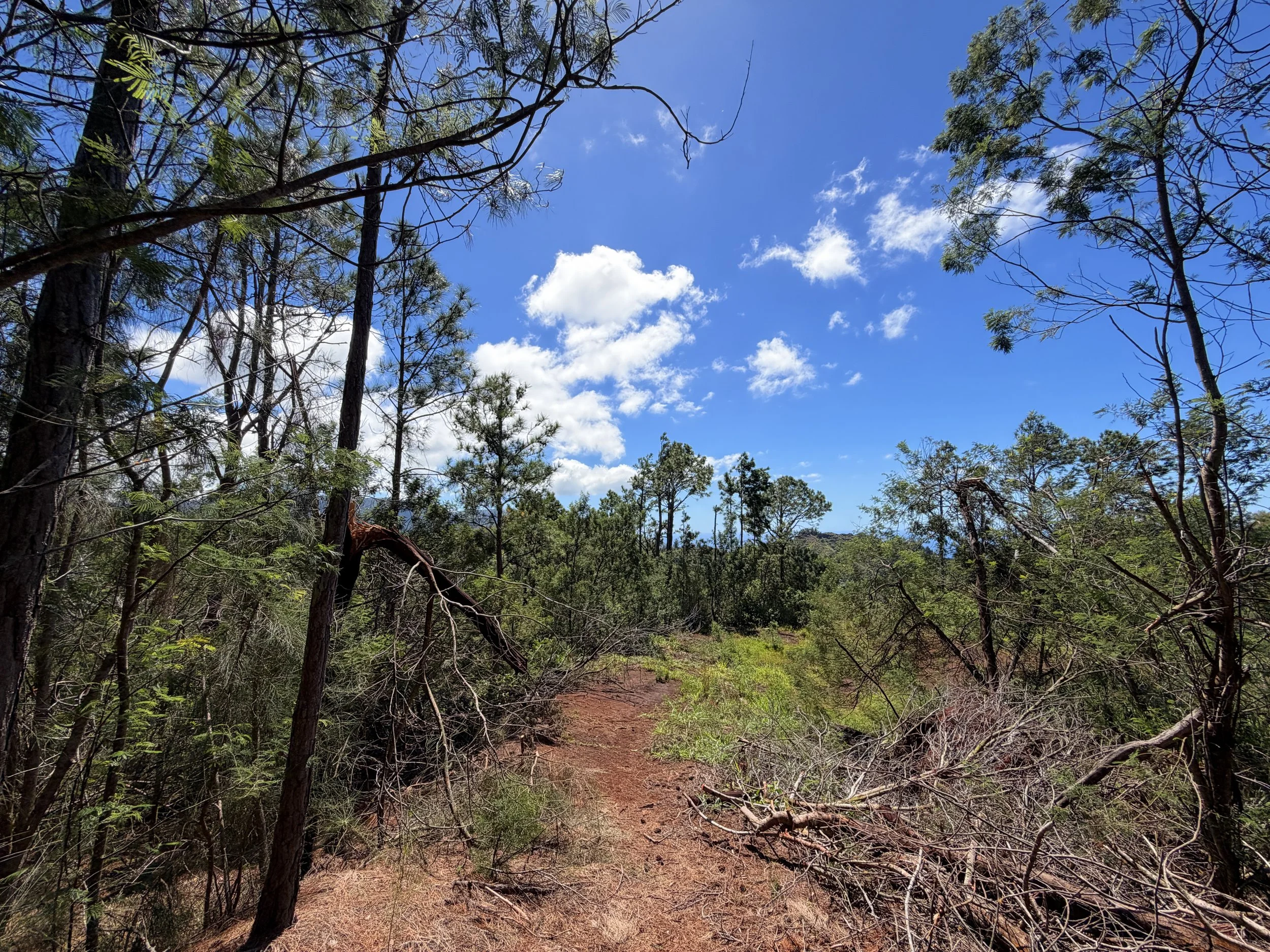 Kuaokala Trail Oahu Hawaii