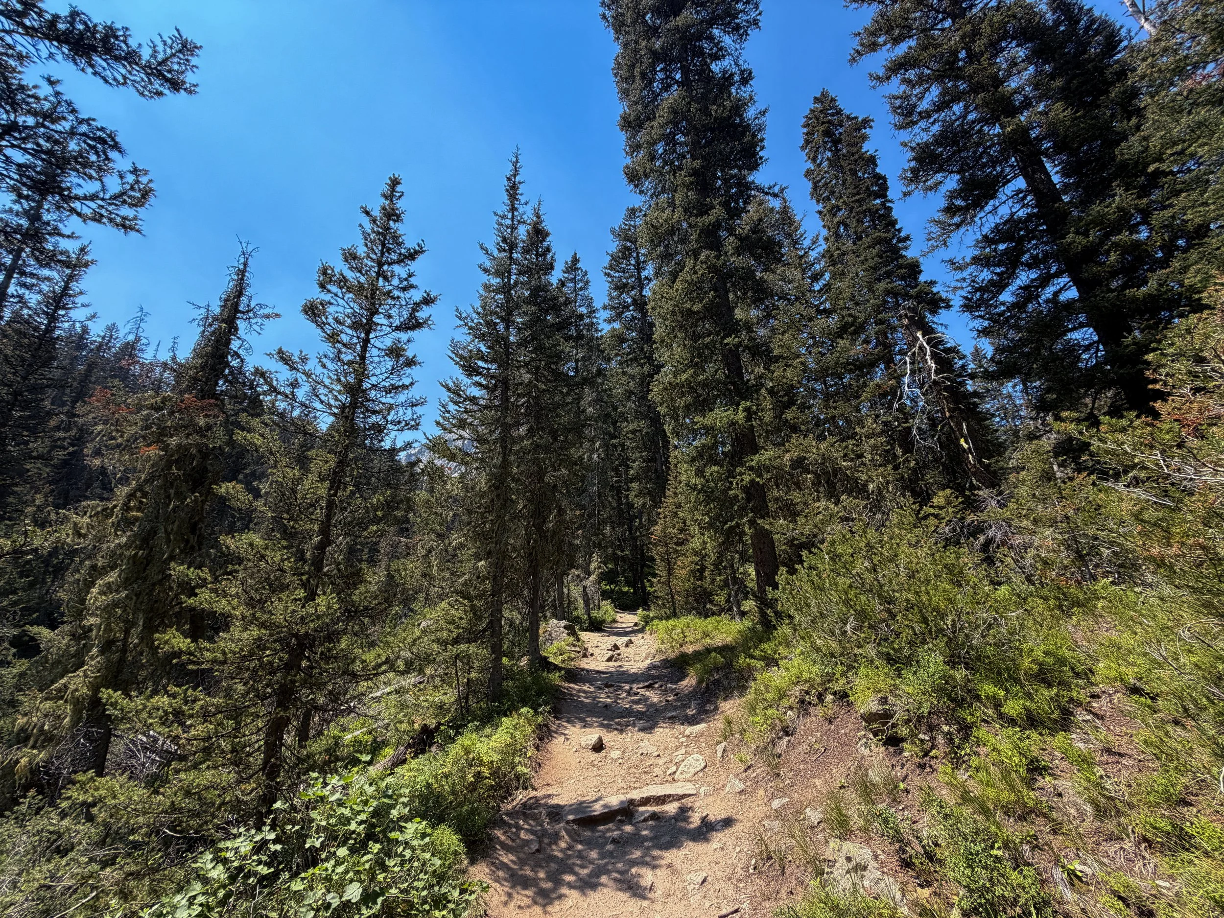 Cascade Canyon Trail Grand Teton National Park Wyoming
