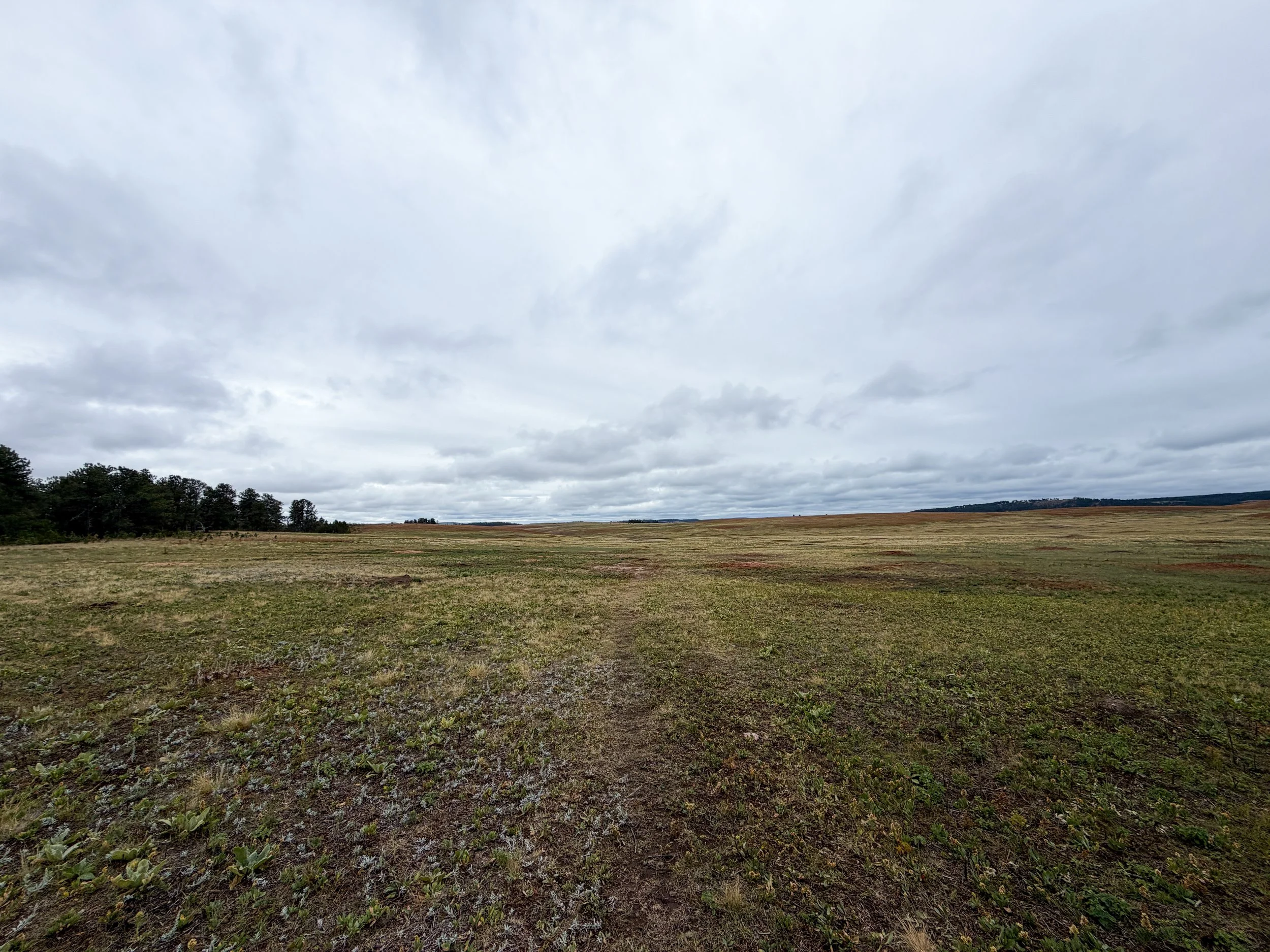 Highland Creek Trail Wind Cave National Park South Dakota