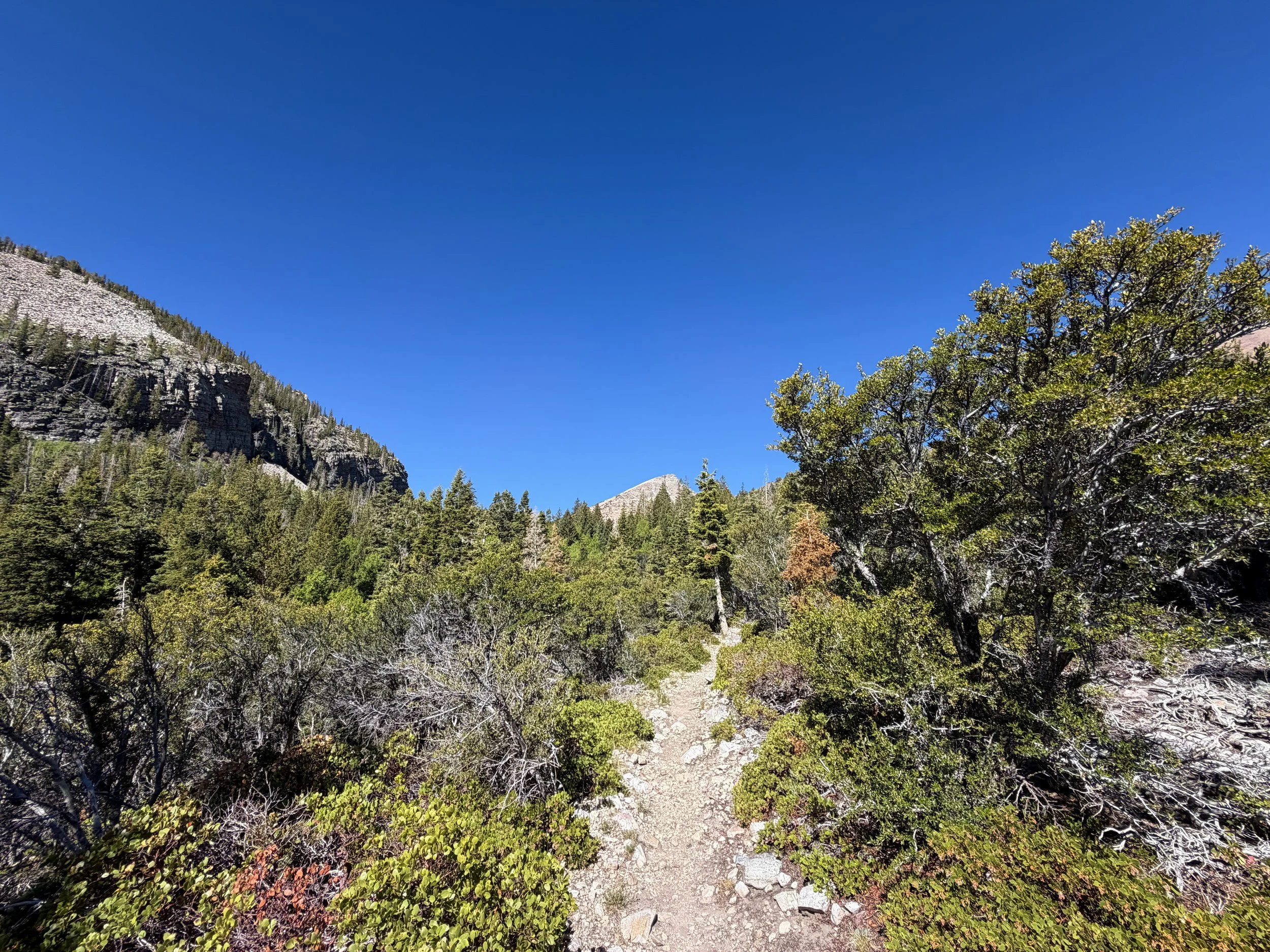 Baker Lake Trail Great Basin National Park Nevada