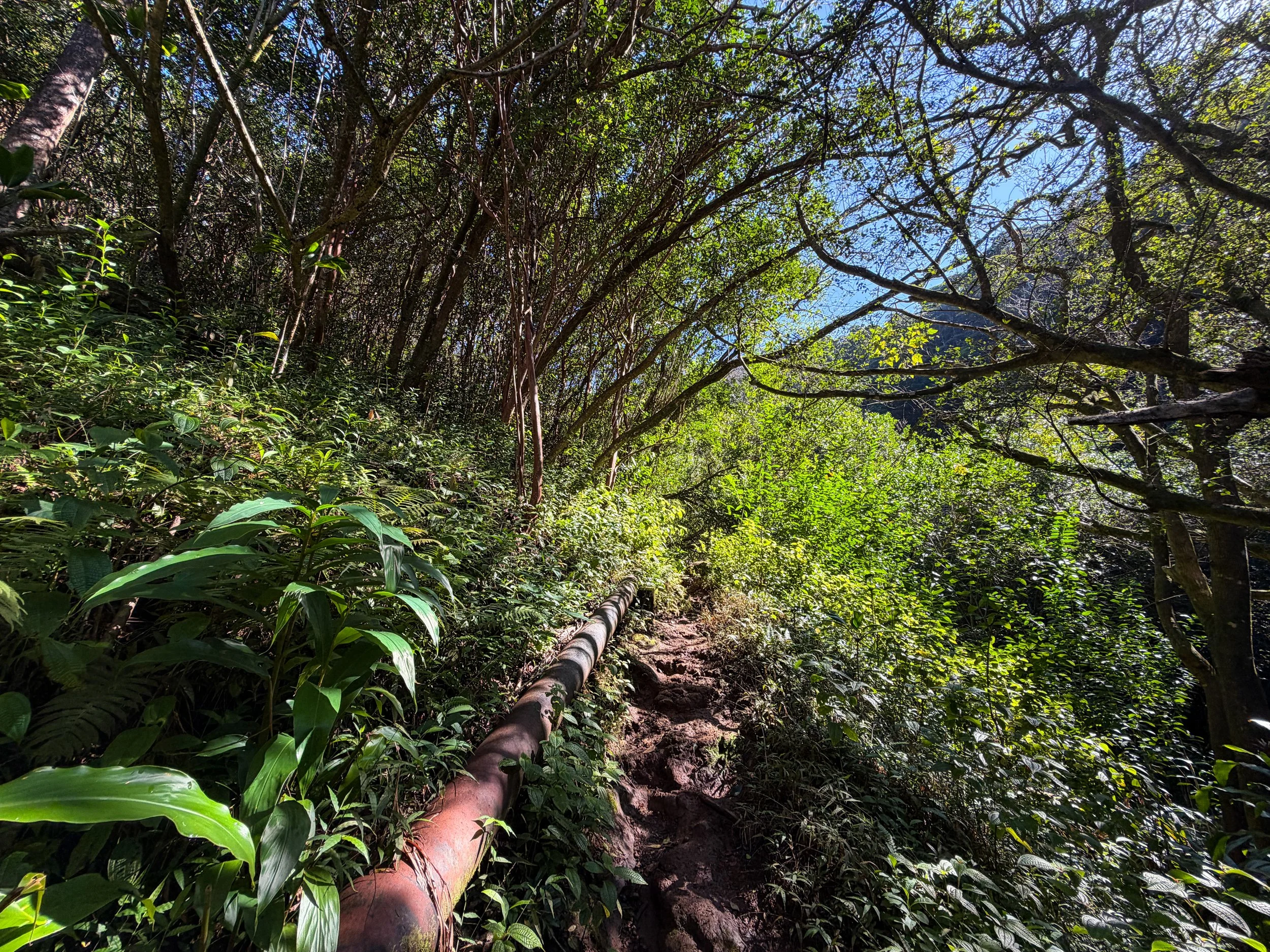 Kaau Crater Hike Oahu Hawaii