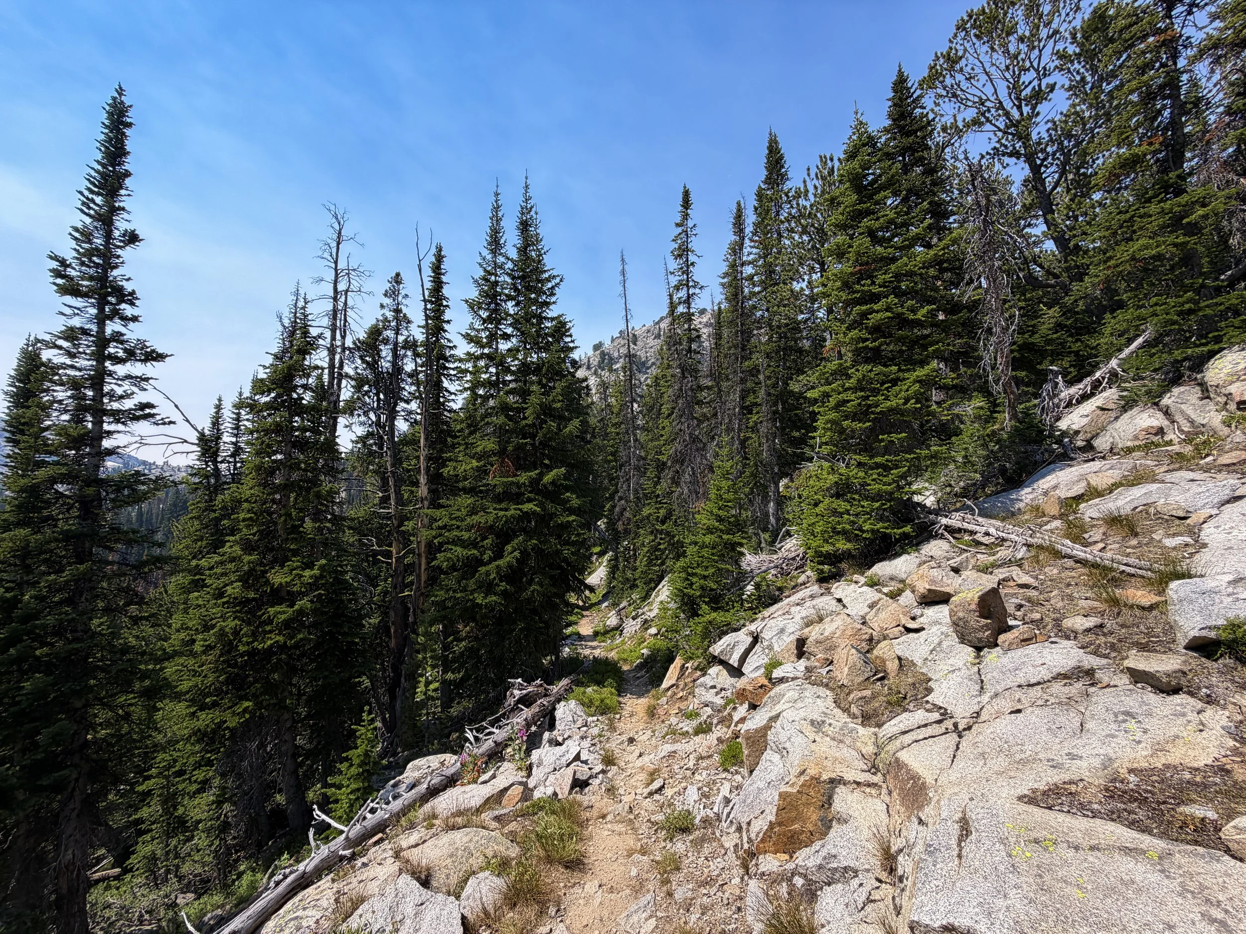 The Beaten Path Trail Beartooth Mountains Montana