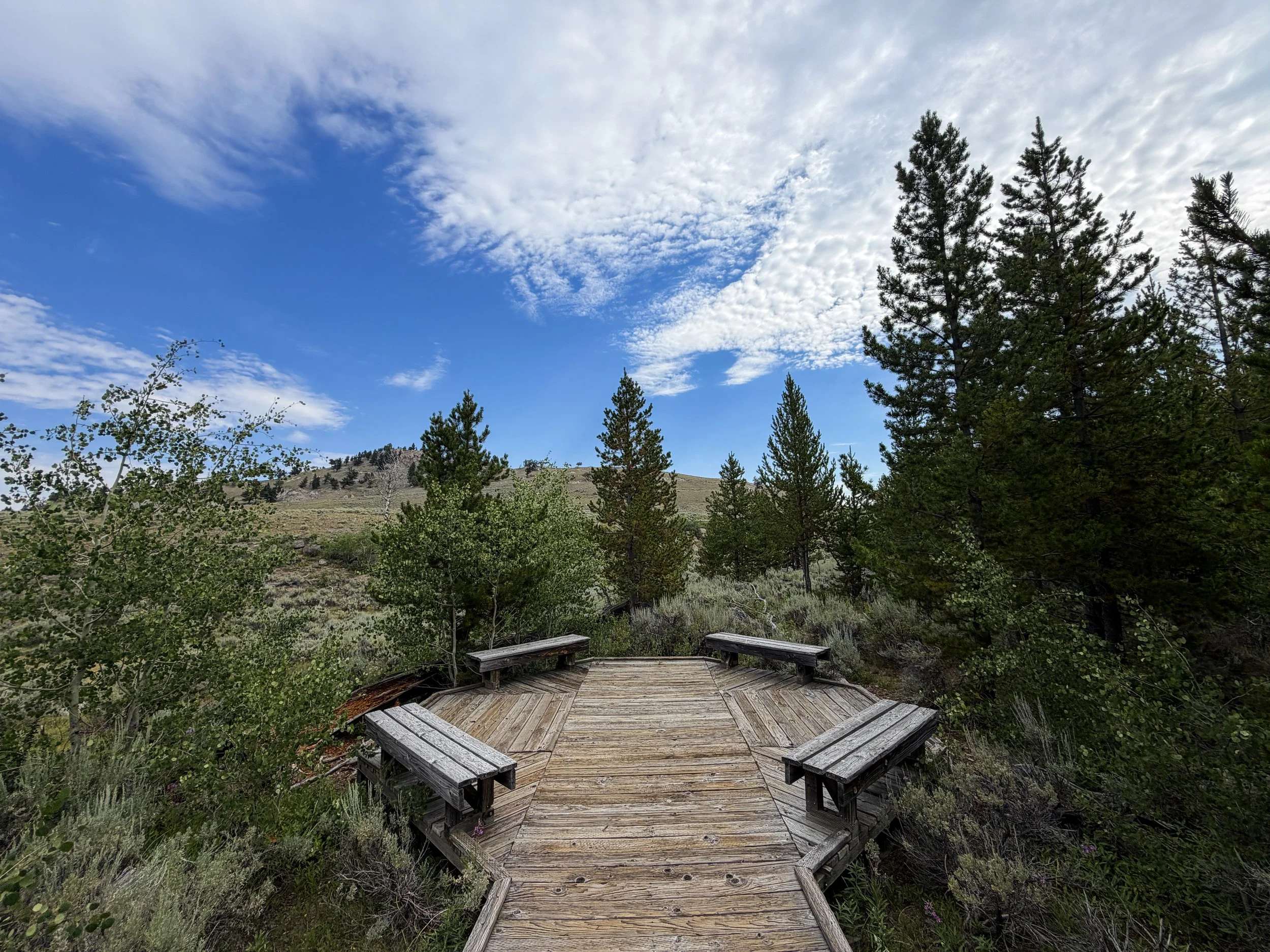 Forces of the Northern Range Trail Yellowstone National Park Wyoming