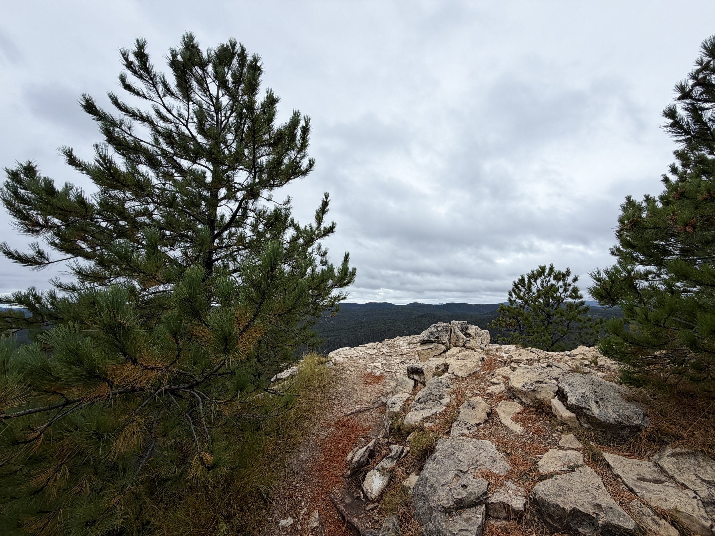 Buzzards Roost Black Hills Rapid City South Dakota