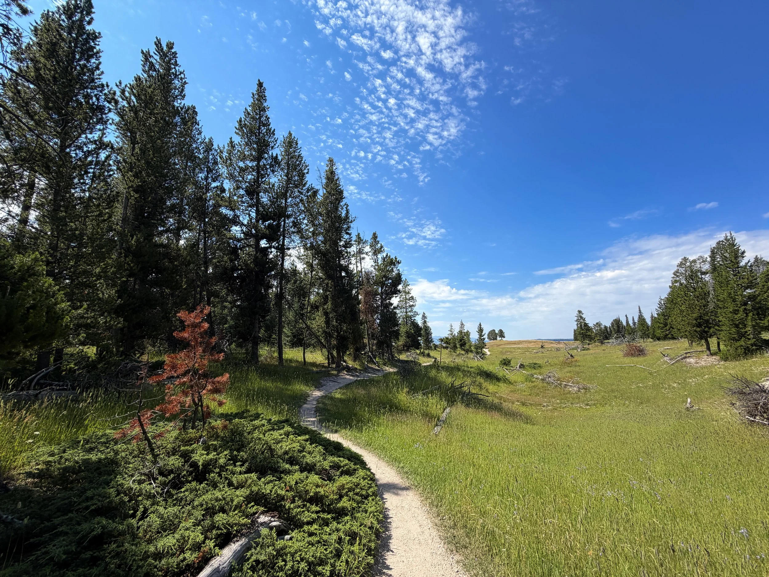 Storm Point Hike Yellowstone National Park Wyoming