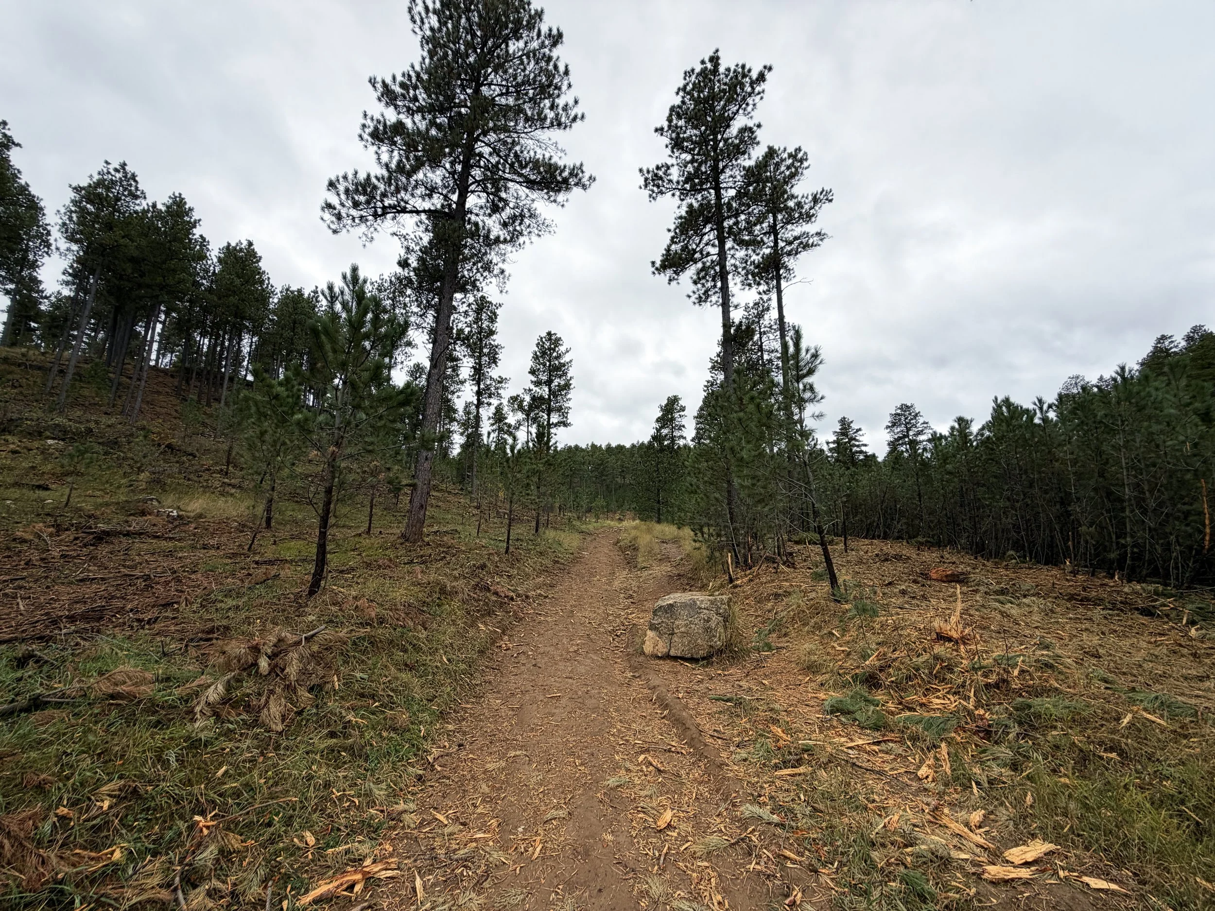 Buzzards Roost Trail Black Hills South Dakota
