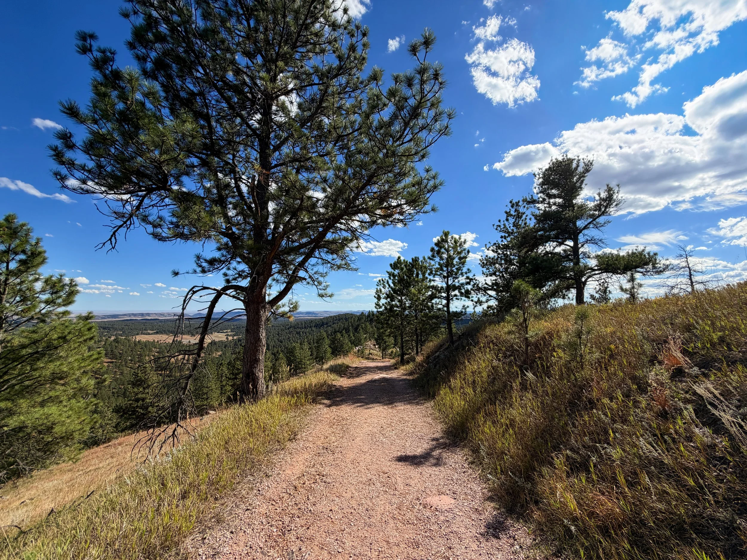 Rankin Ridge Trail Wind Cave National Park South Dakota