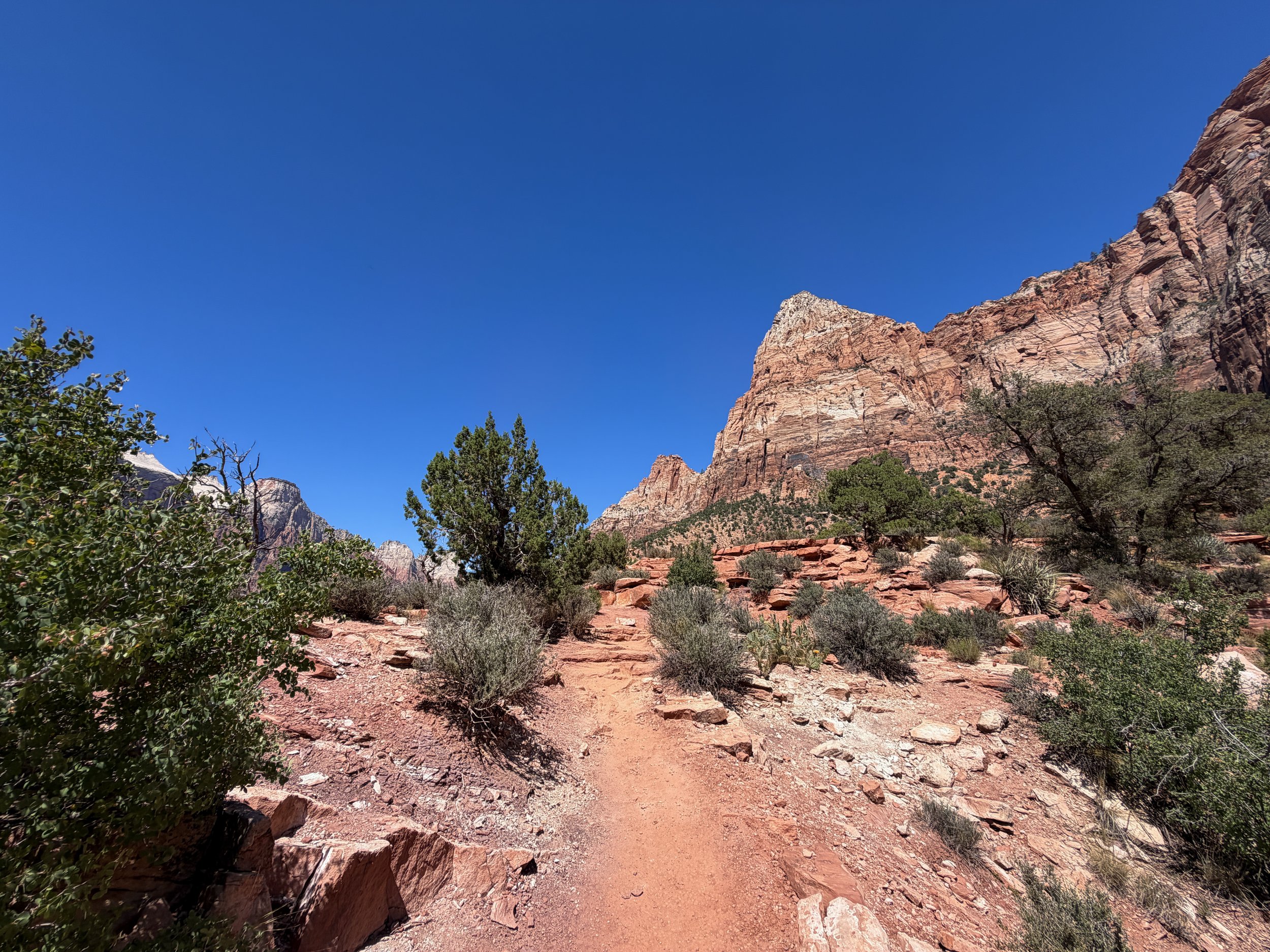 Watchman Loop Trail Zion National Park Utah