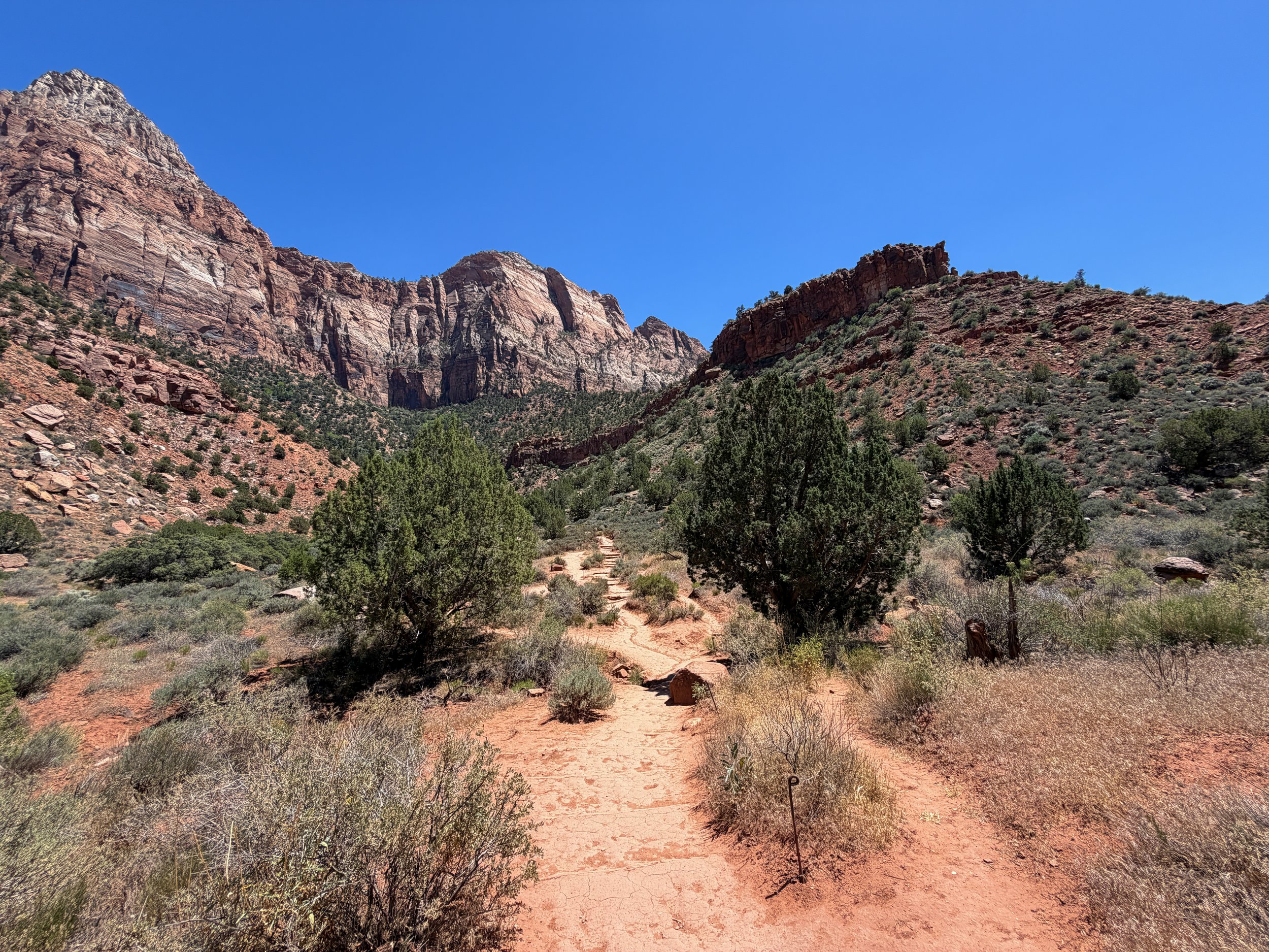 Watchman Hike Zion National Park Utah