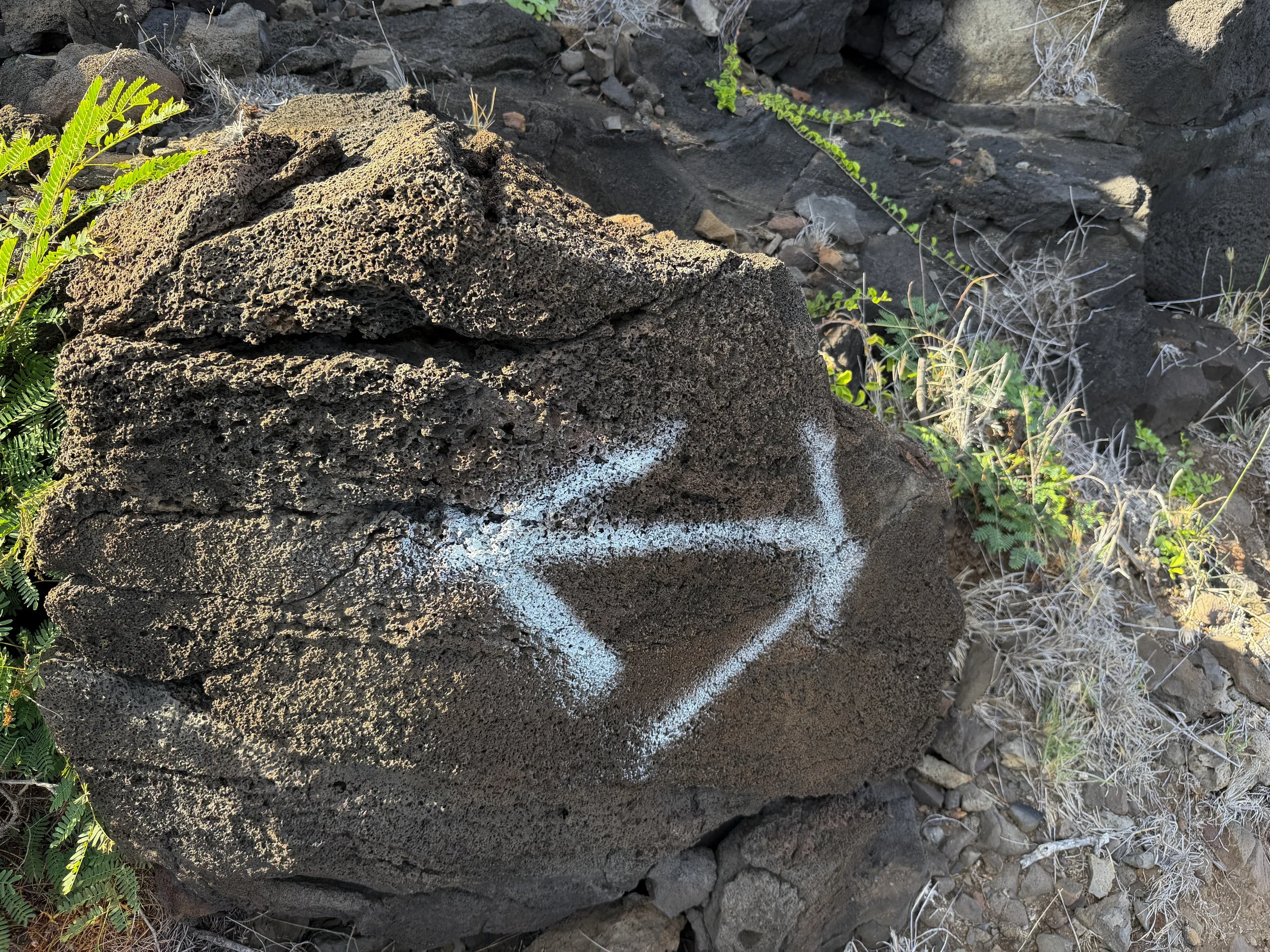Makapuu Tide Pools Trail Oahu Hawaii