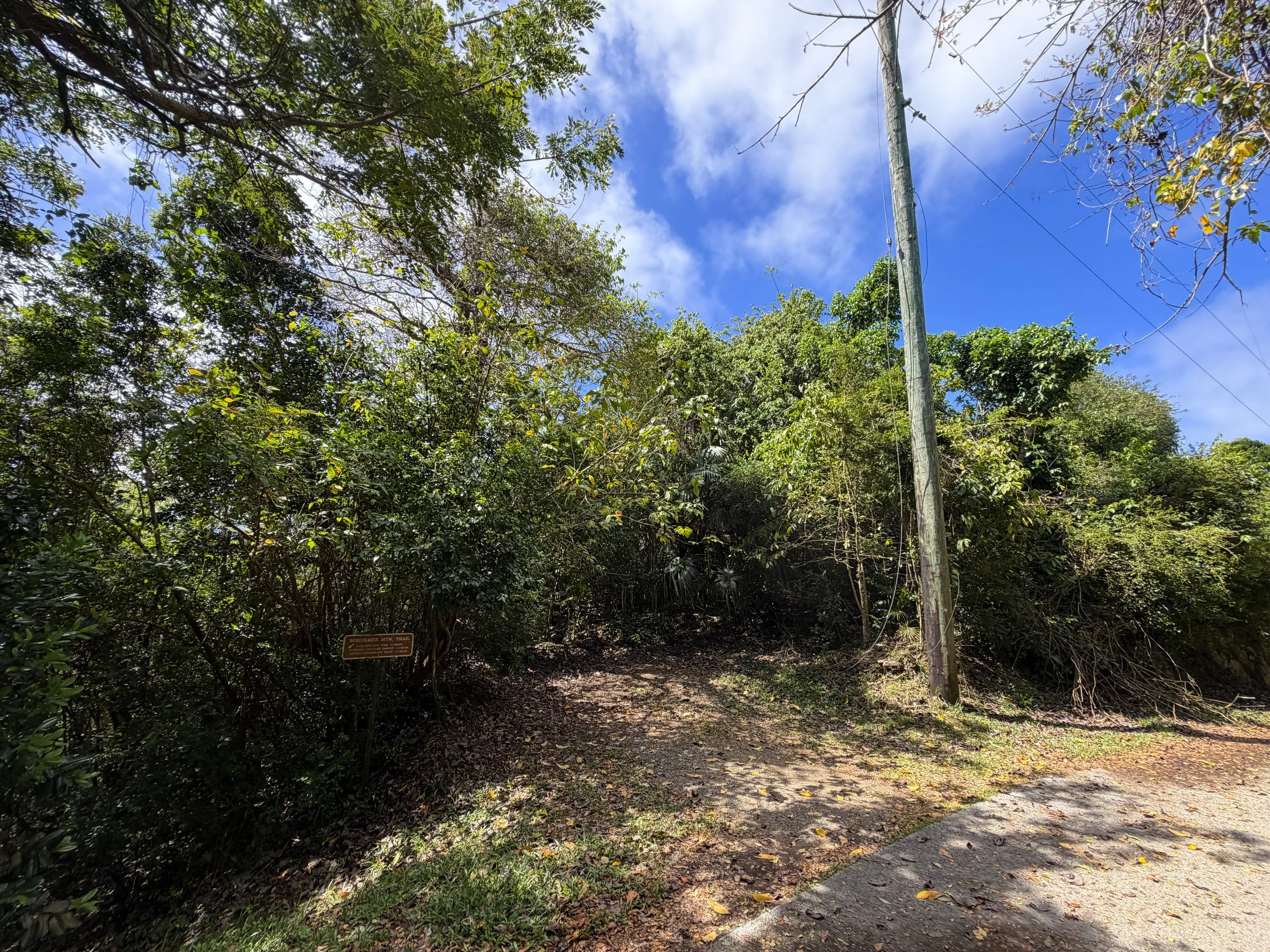 Bordeaux Mountain Trailhead Parking Virgin Islands National Park