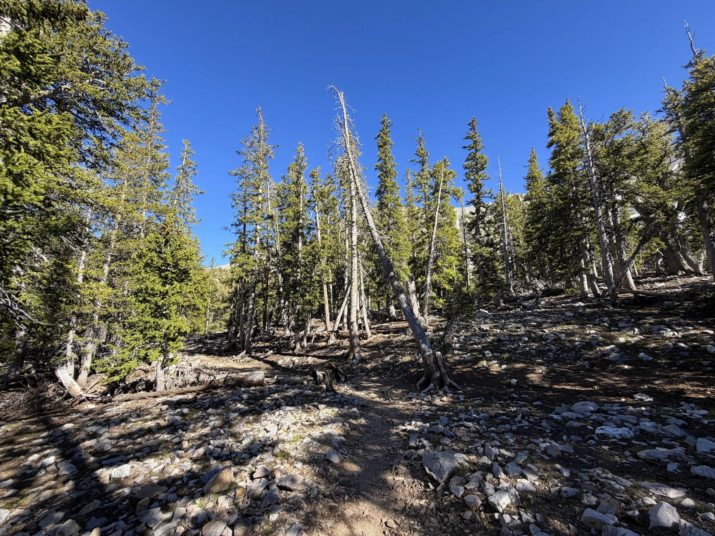 Alpine Lakes Loop Trail Great Basin National Park Nevada