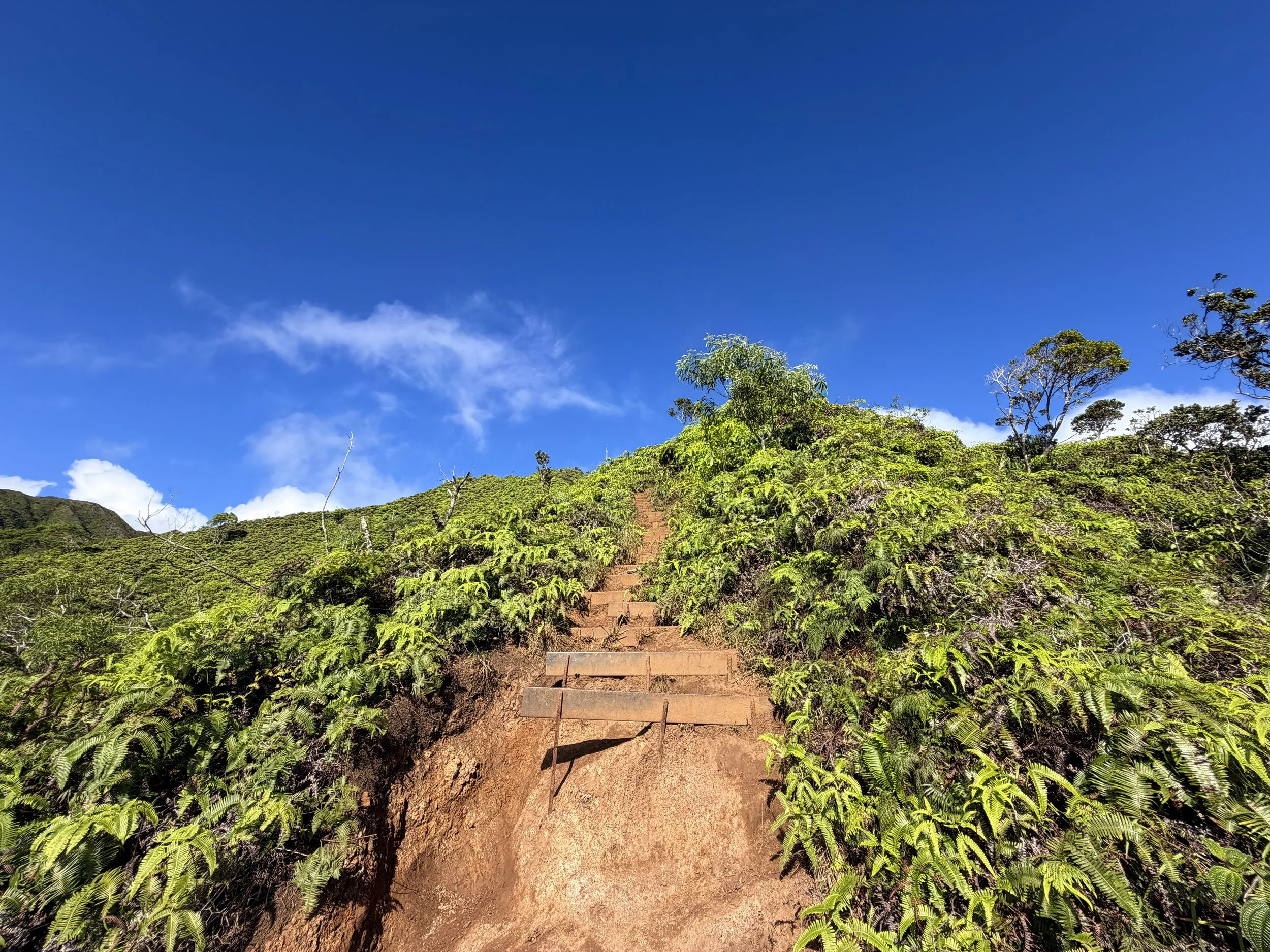 Wiliwilinui Ridge Hike Oahu Hawaii