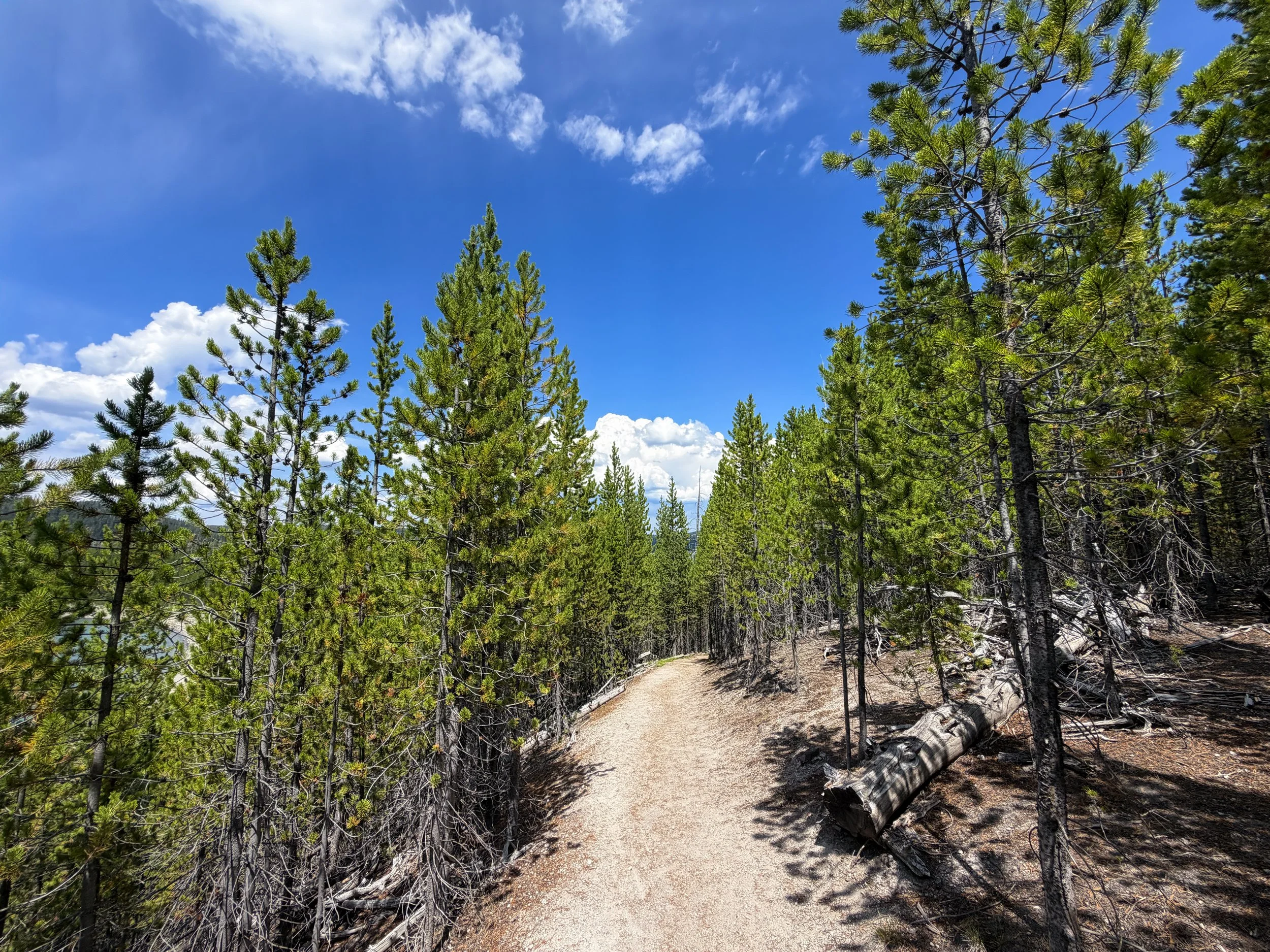 Duck Lake Hike Yellowstone National Park Wyoming