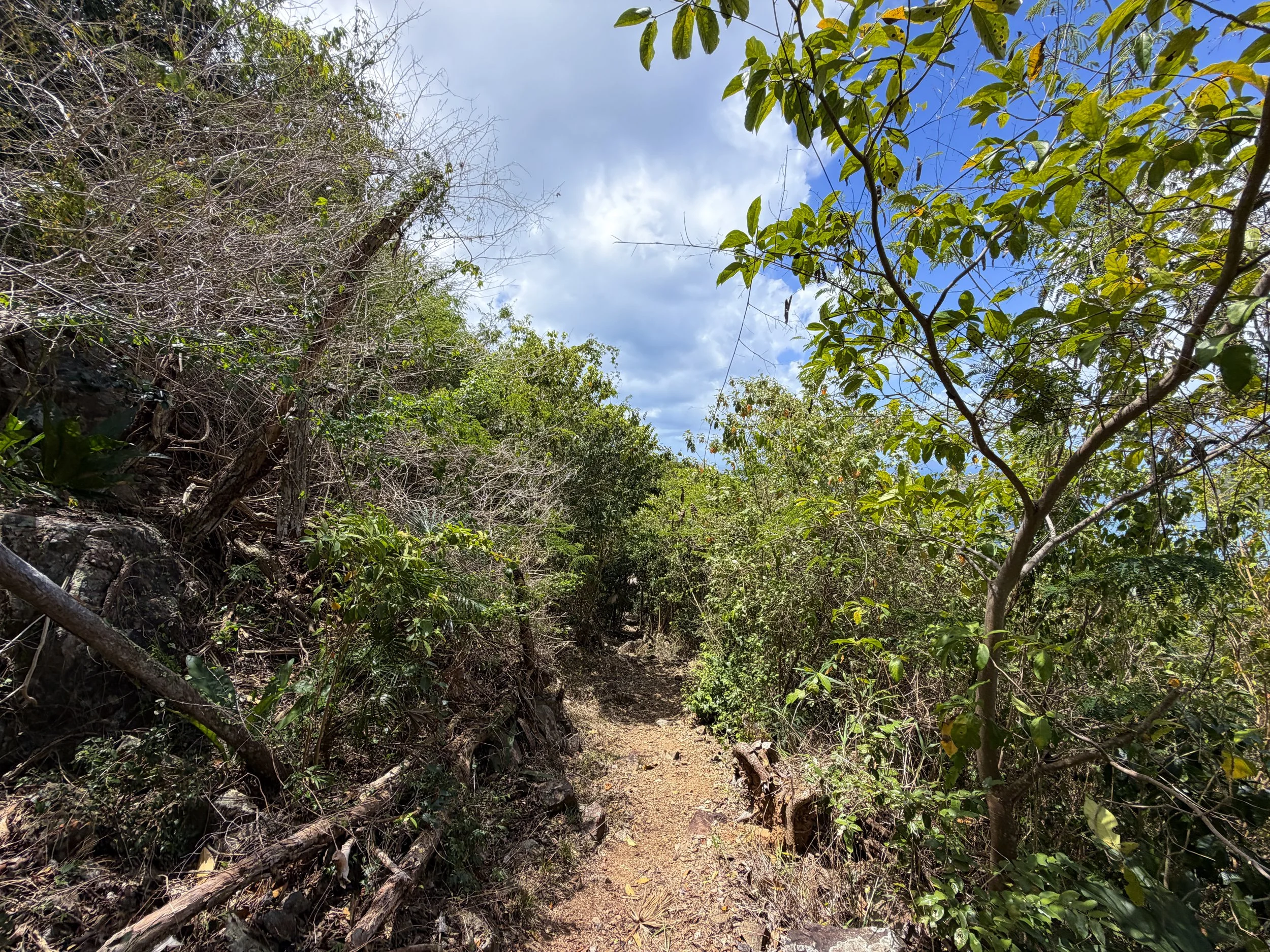 Maria Hope Trail Virgin Islands National Park