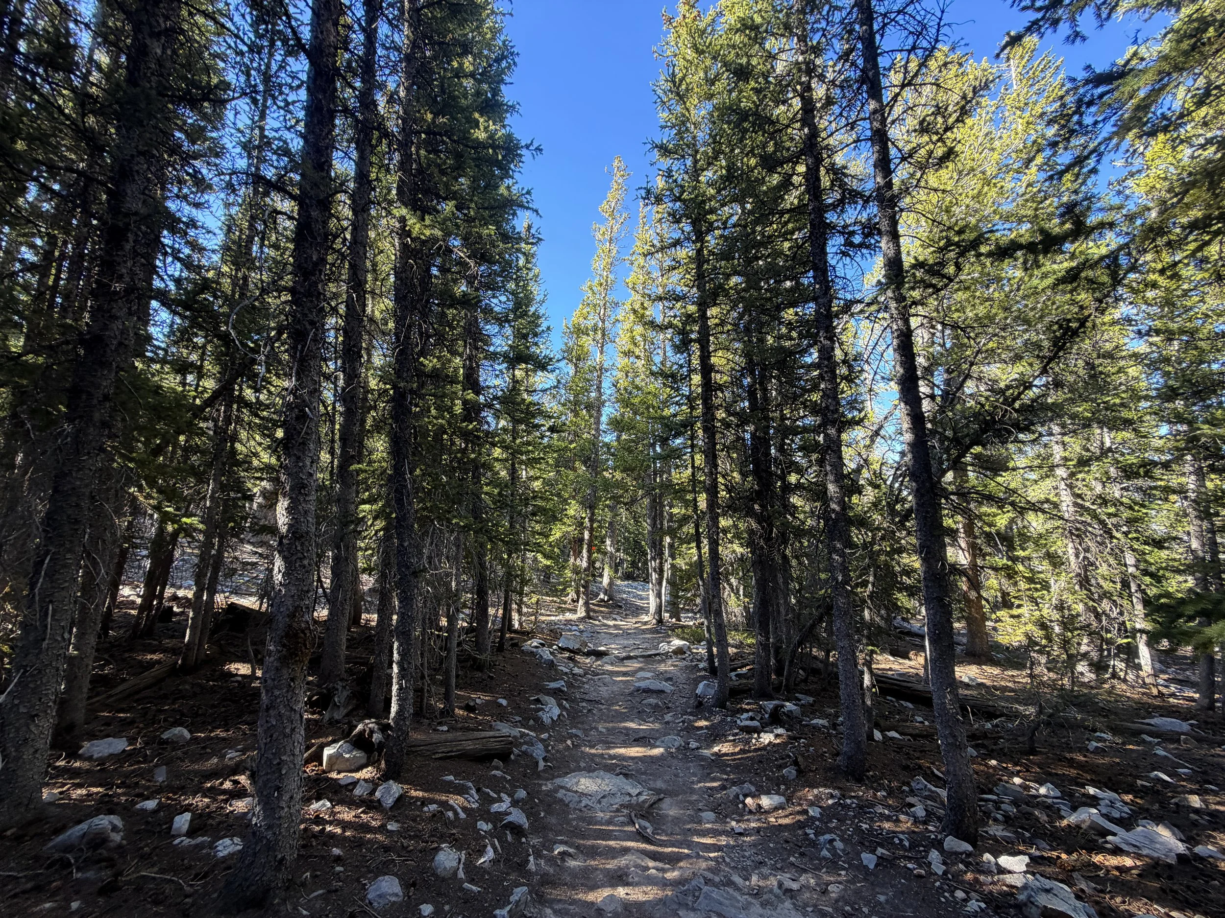 Alpine Lakes Loop Trail Great Basin National Park Nevada